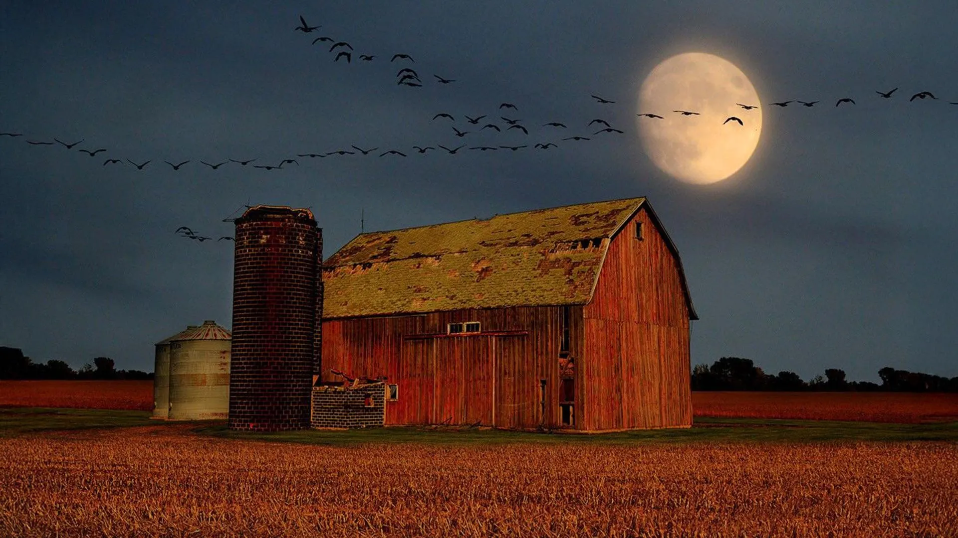 Brilliant Venus and a Harvest Moon
