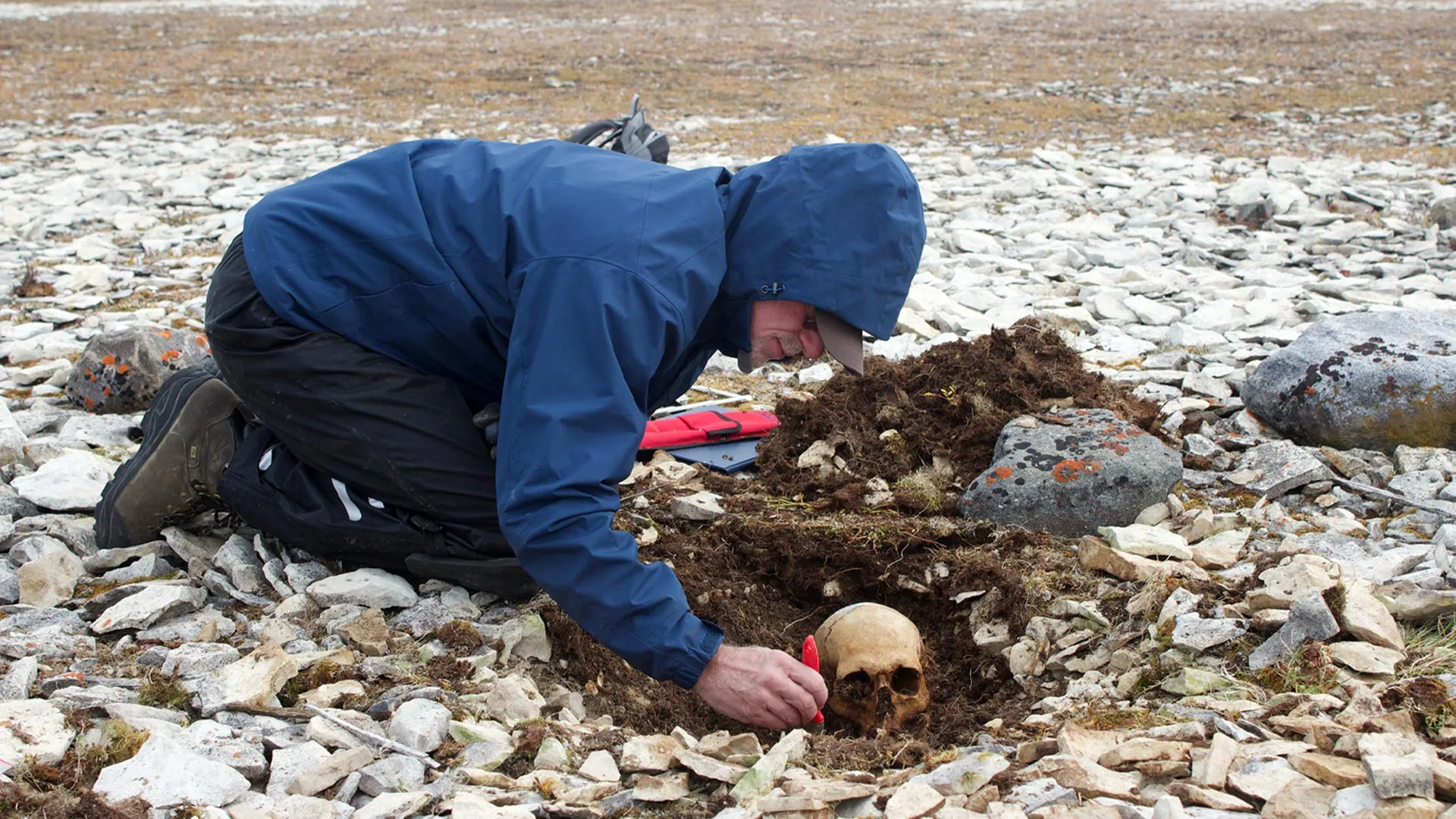 DNA Cracks a Franklin Expedition Mystery