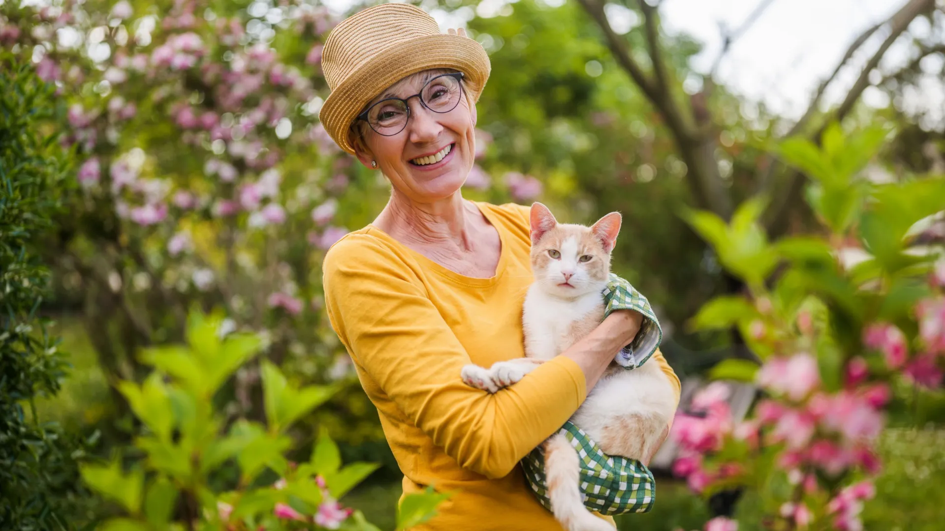 Cat Cancer Discovery Could Change Medicine