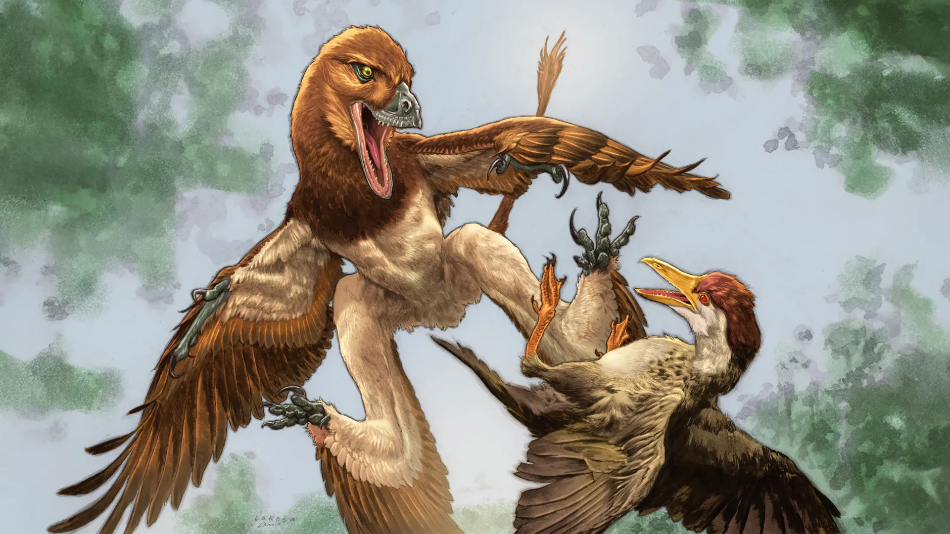 Four-Winged Dinosaur Solves Mystery