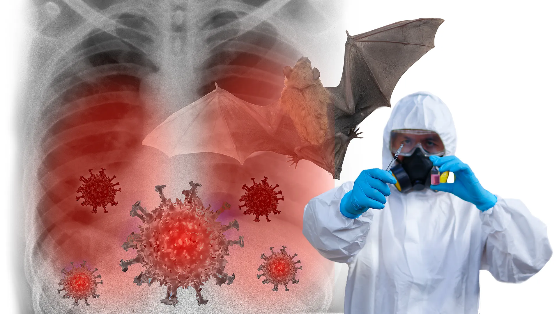 Scientists Warn of Bat Virus Just One Mutation from Infecting Humans