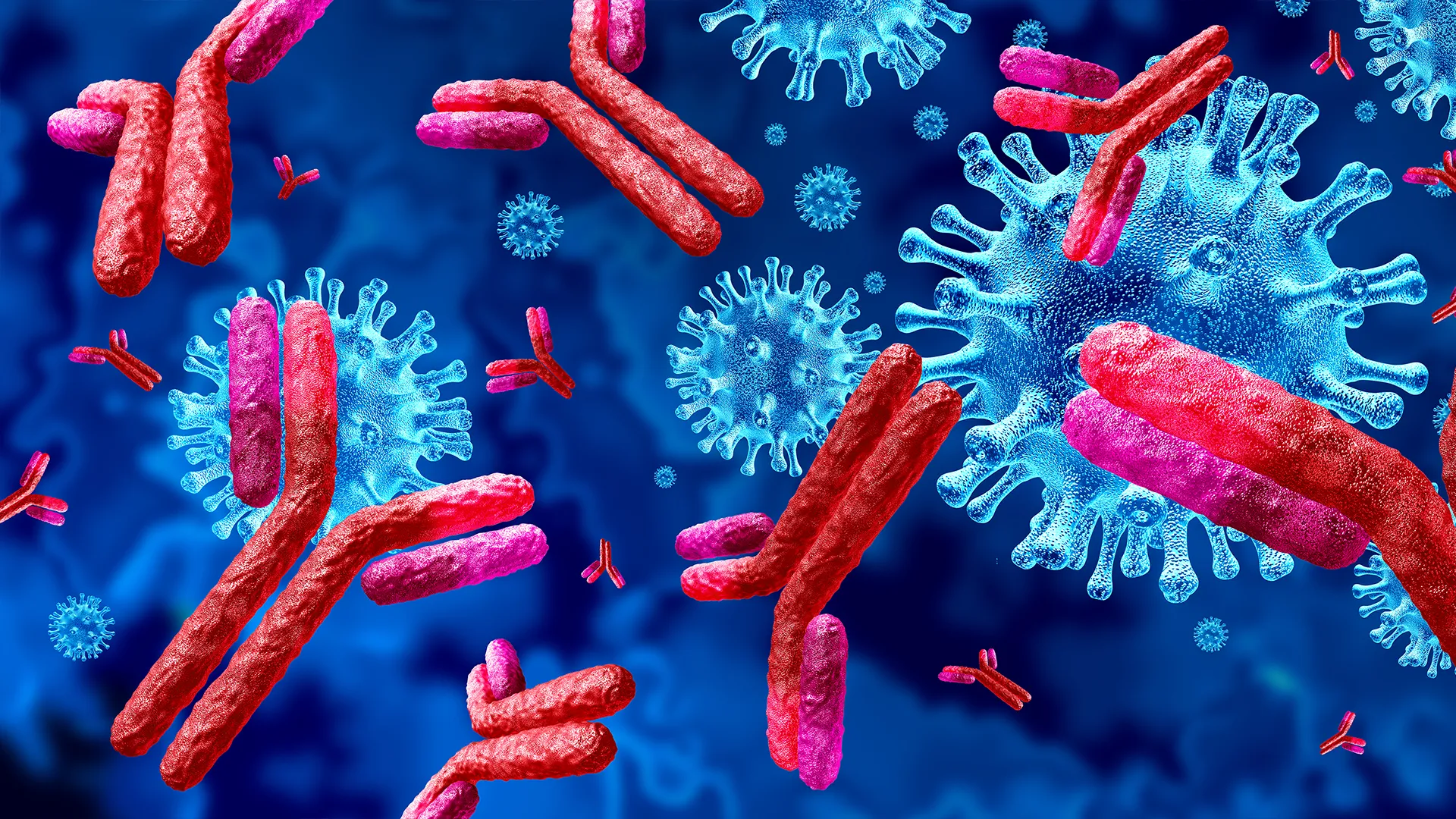 Scientists discover llama antibodies that shut down COVID — and its future variants