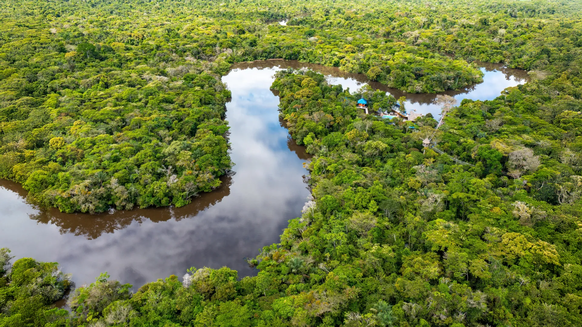 Amazon Protection May Beat Restoration