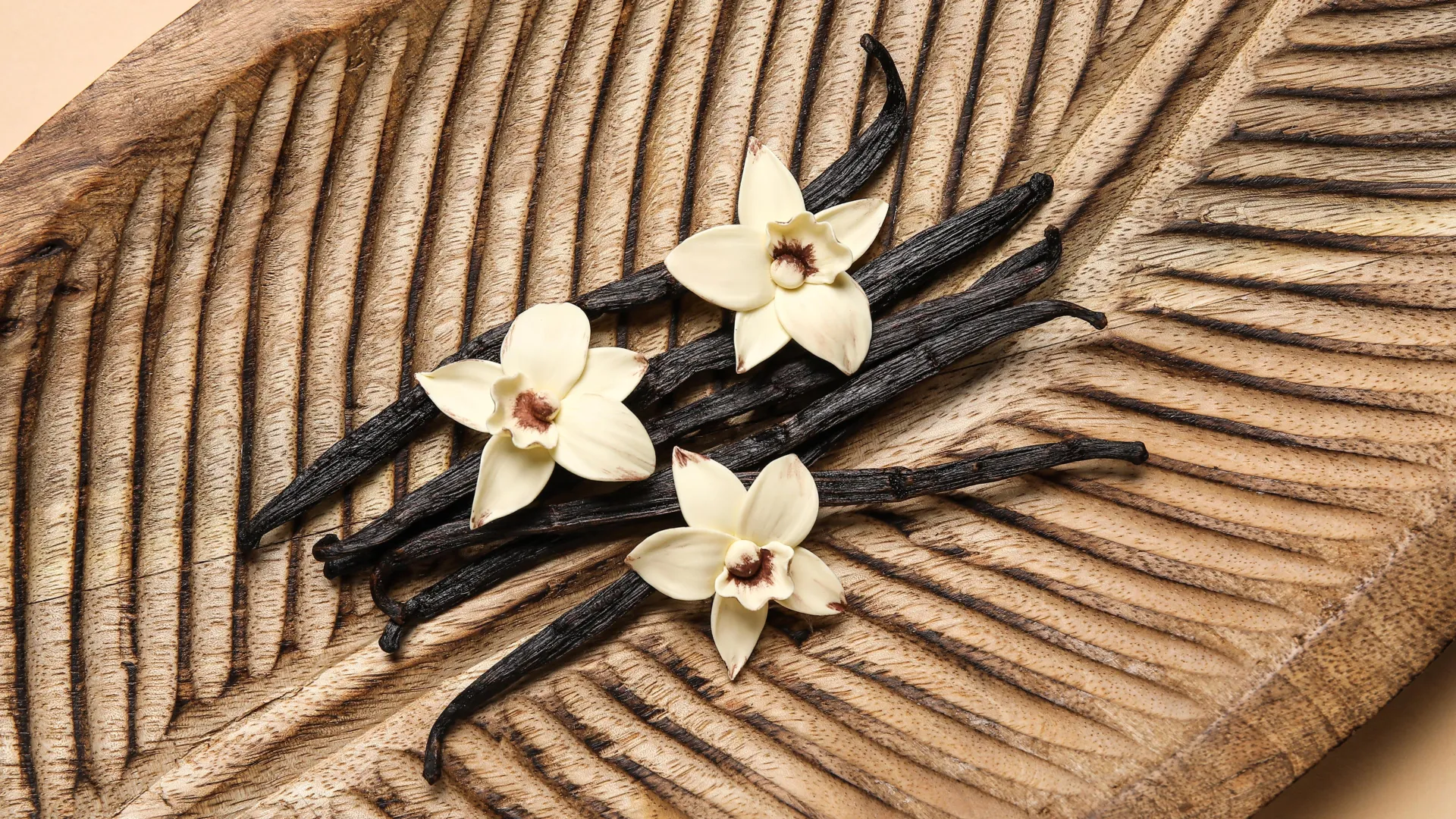 Scientists uncover the healing properties of vanilla. Scientists uncover the healing properties of vanilla.