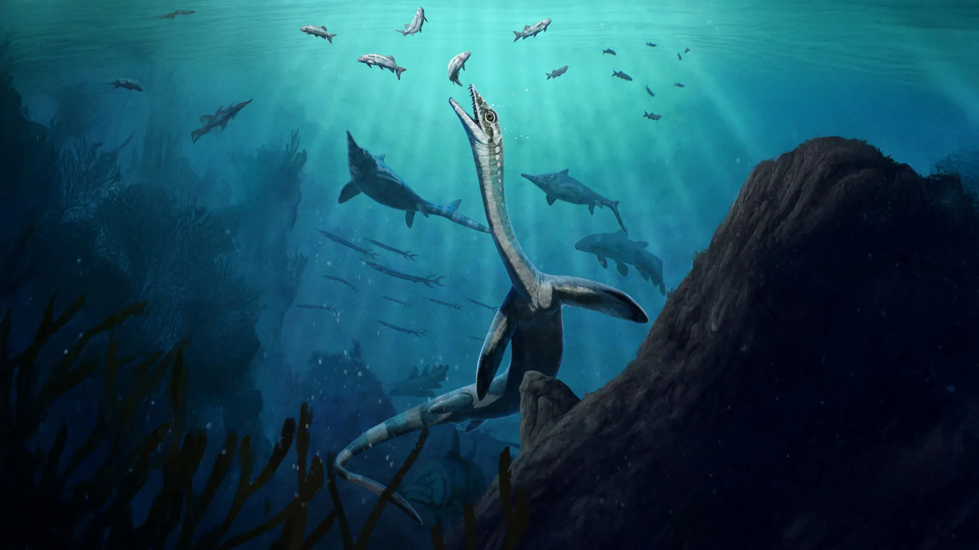 This 245-million-year-old fossil still has its stomach and intestines