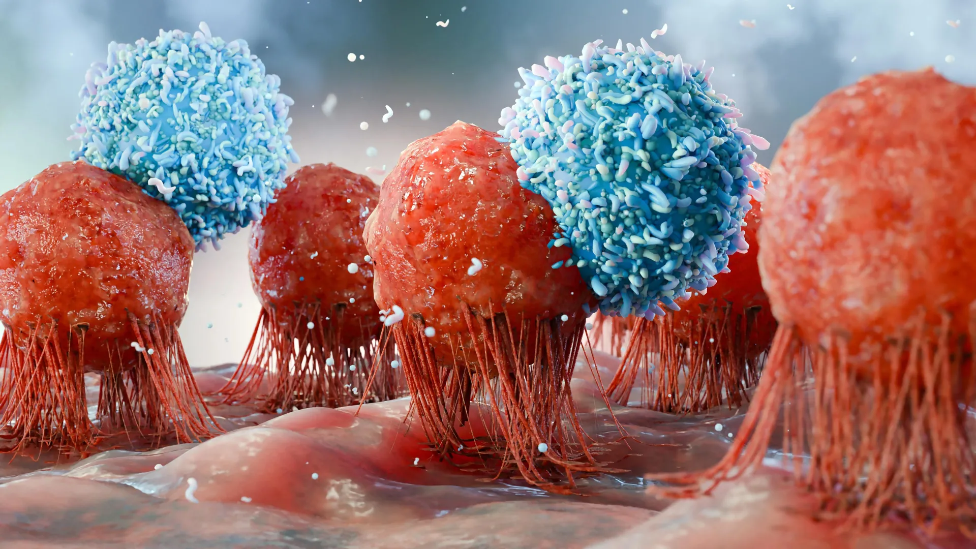 Natural Supplement May Boost Cancer Immunity