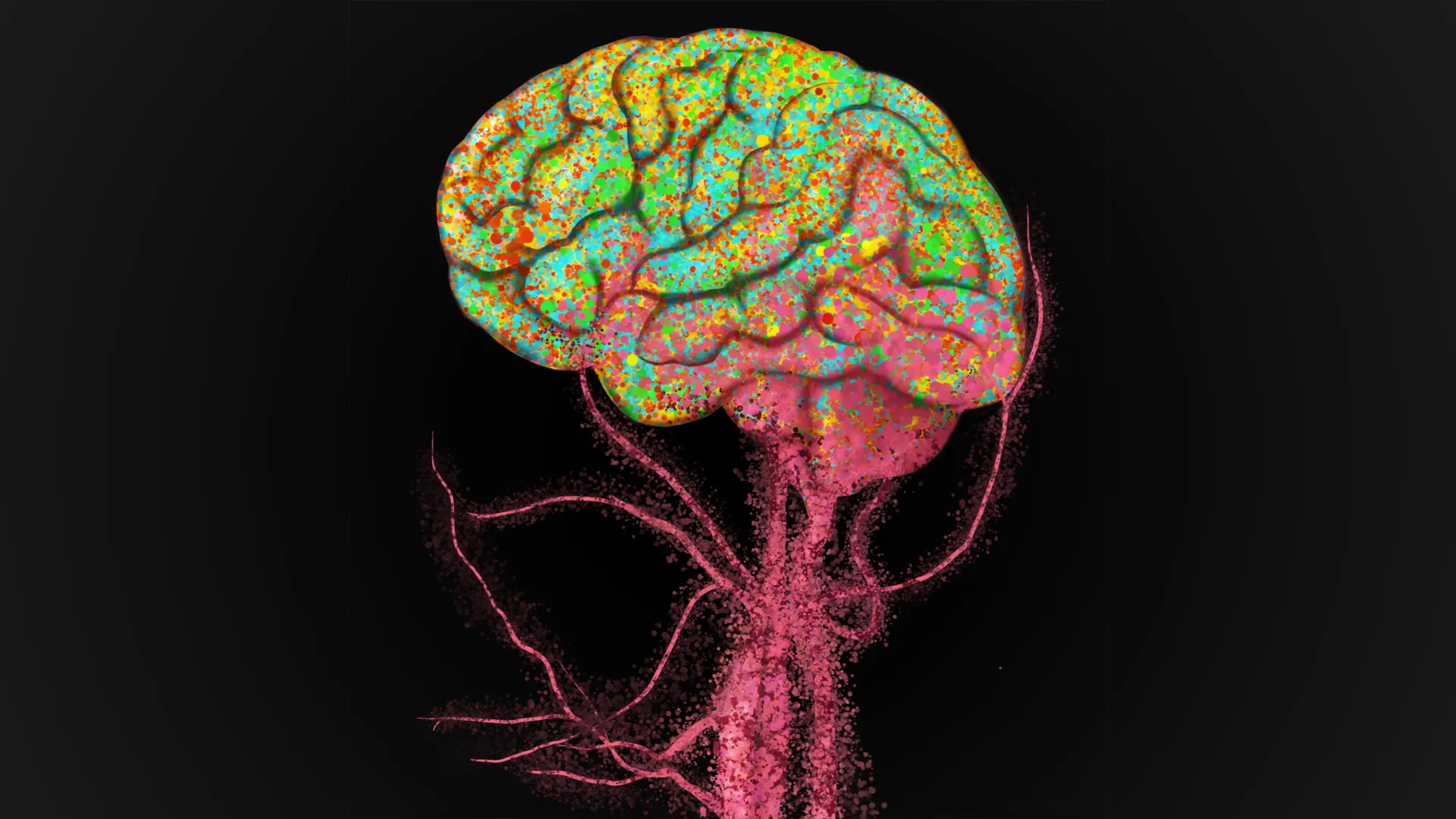 Immune Cells Flood Into the Aging Brain, Stanford Scientists Discover
