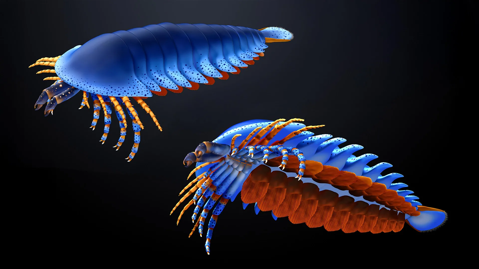 This tiny claw in a 500-million-year-old fossil just rewrote the origin of spiders