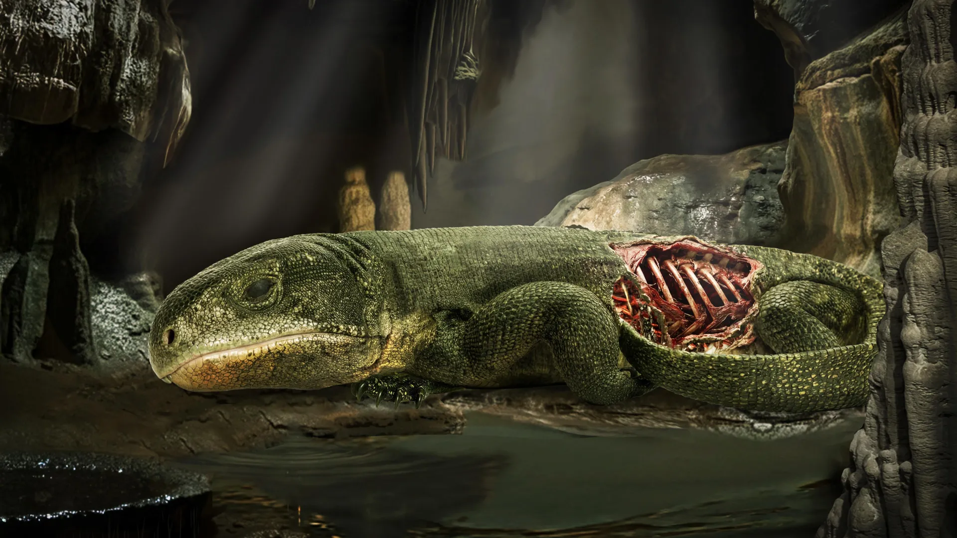 Mummified Reptile Reveals How Breathing Began