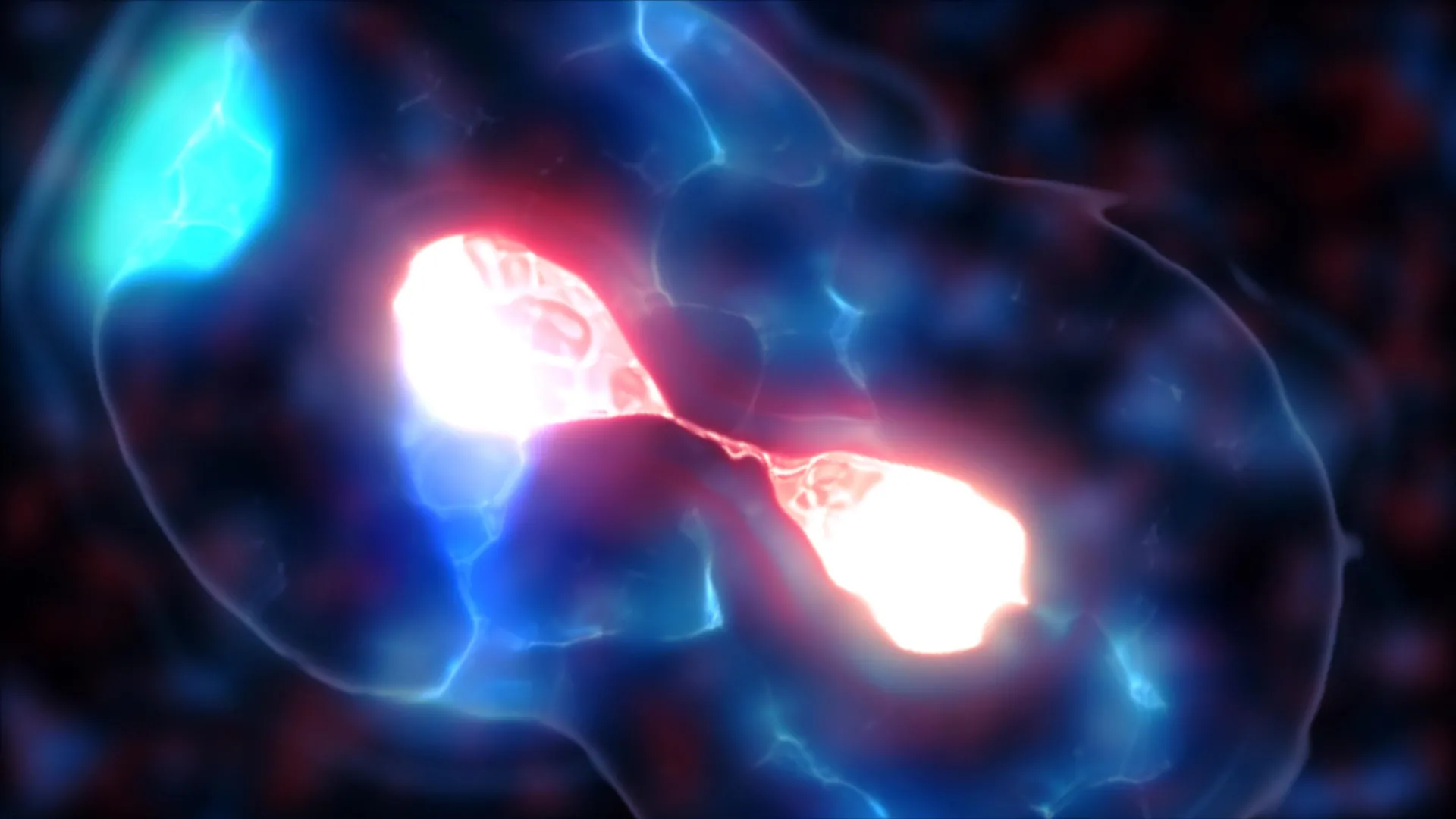 The Mystery of Yeast’s Tiny Centromeres Solved