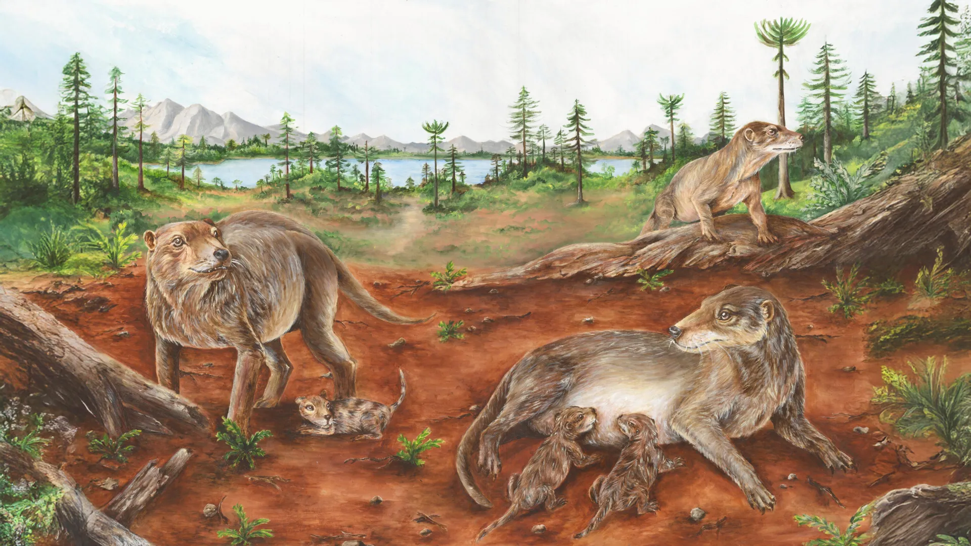 Ancient Fossil Rewrites Mammal Birth