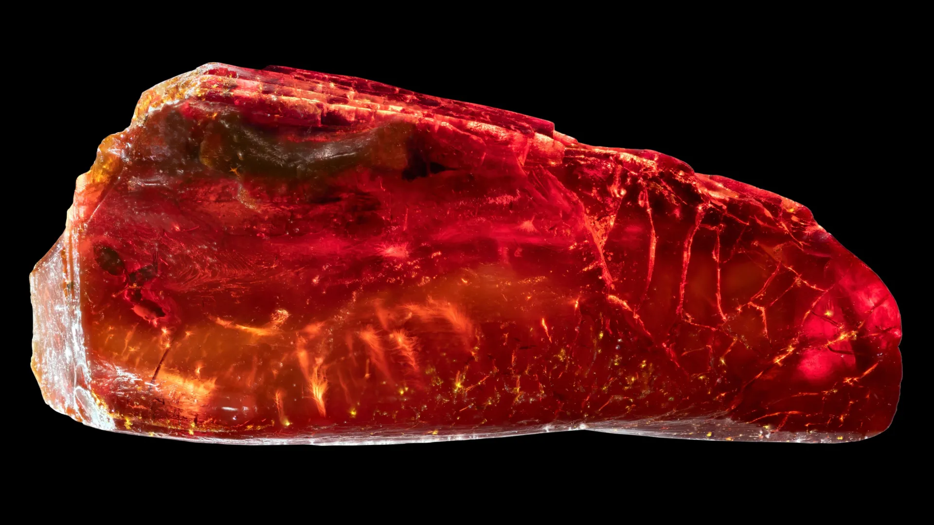 Goethe never knew this 40-million-year-old ant was hidden in his collection