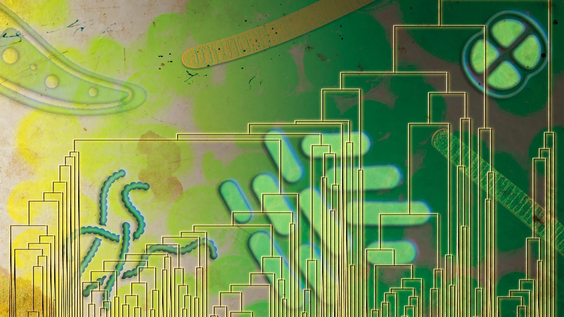 Life Used Oxygen Earlier Than Thought