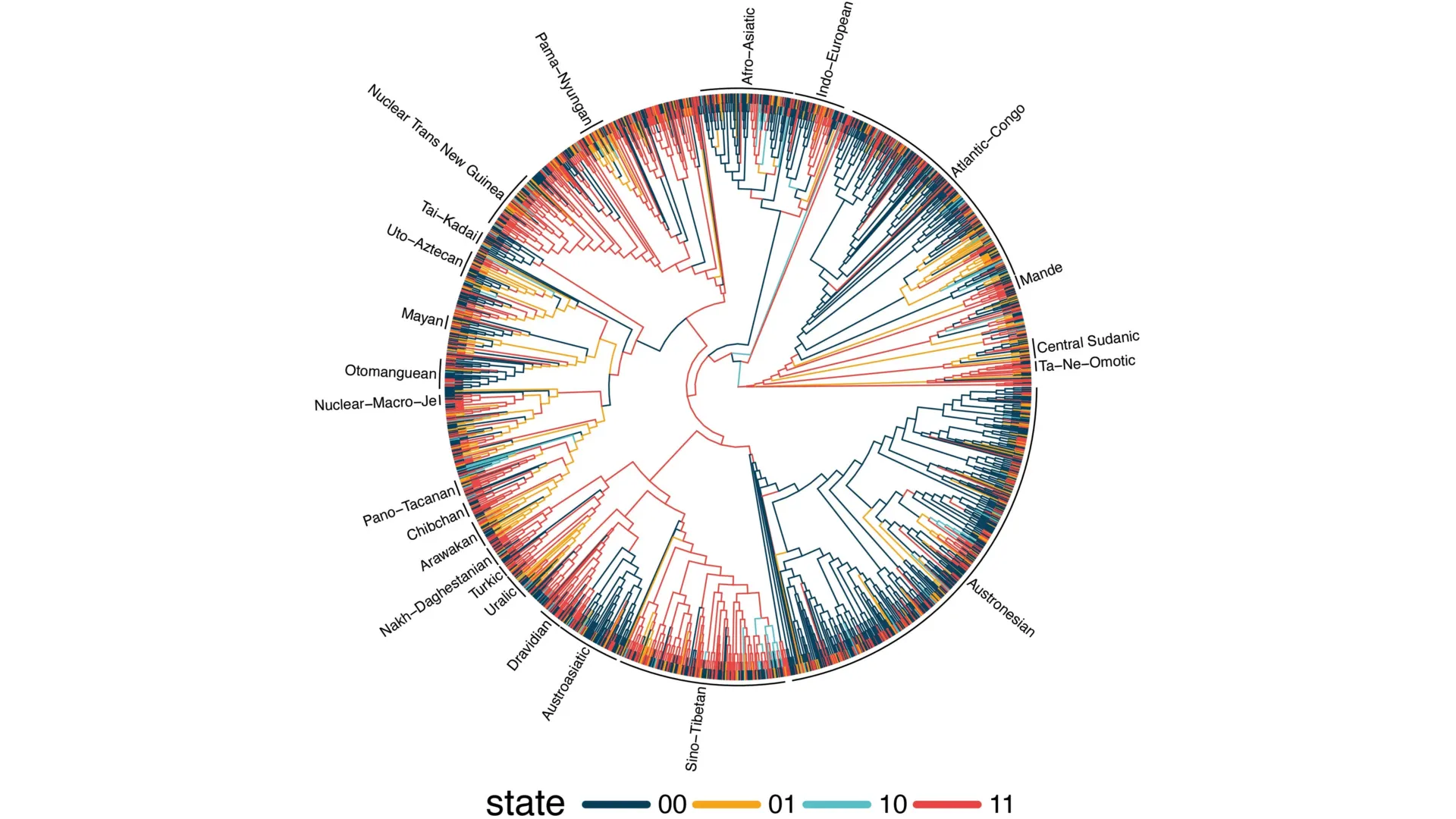 Study of 1,700 languages reveals surprising hidden patterns