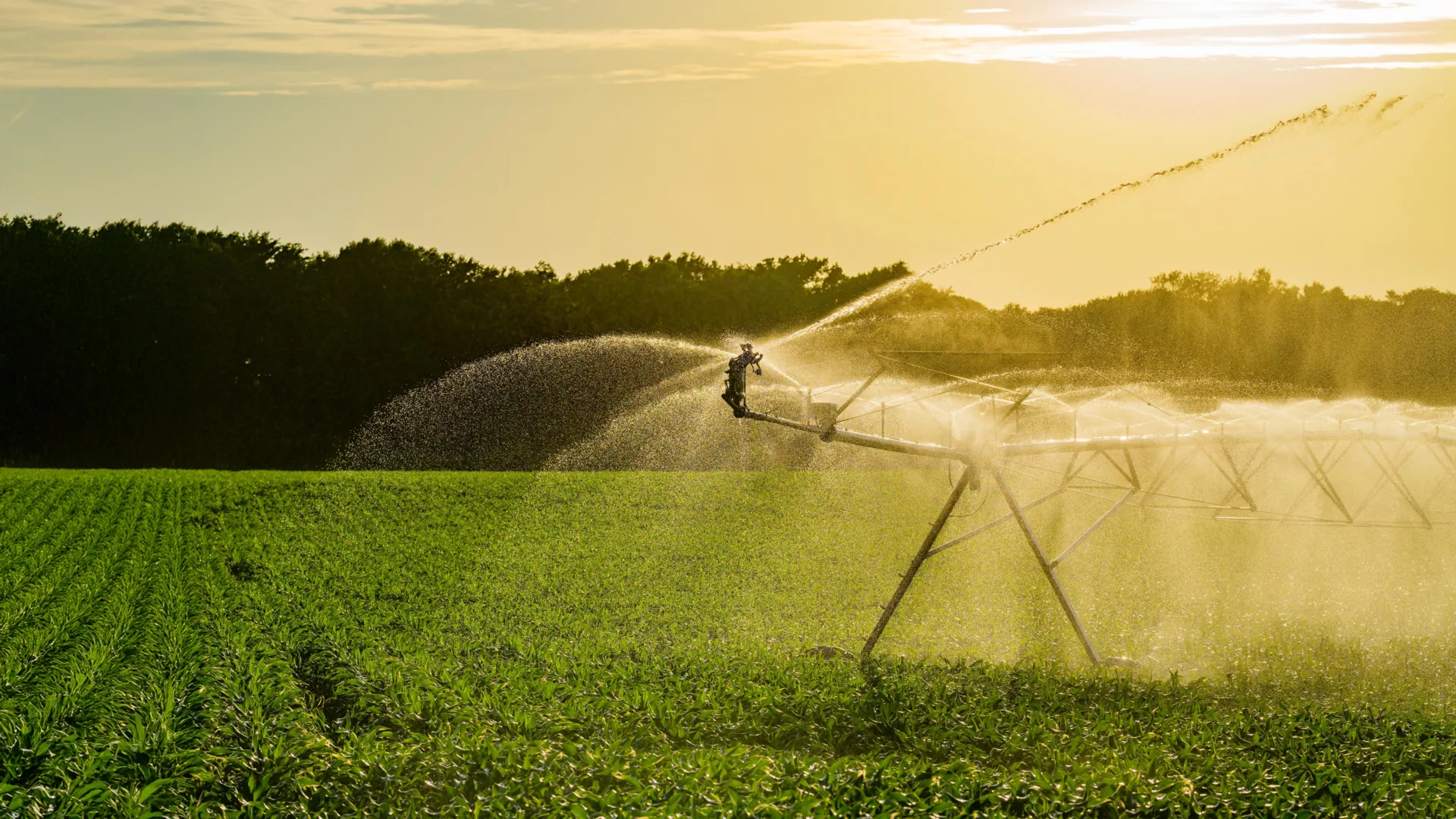 Irrigation Has a Hidden Climate Benefit