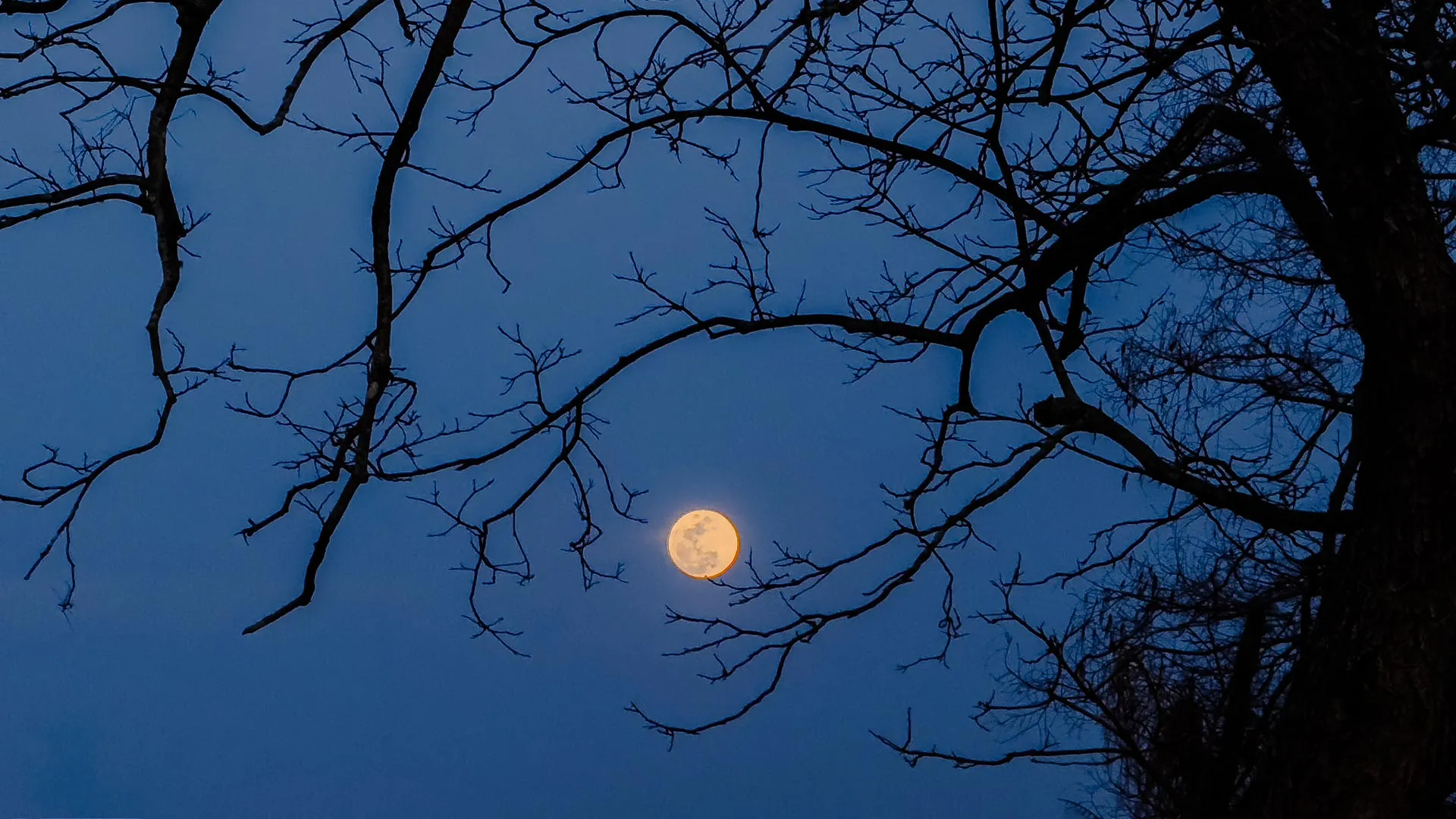 October’s Sky Is Full of Cosmic Surprises
