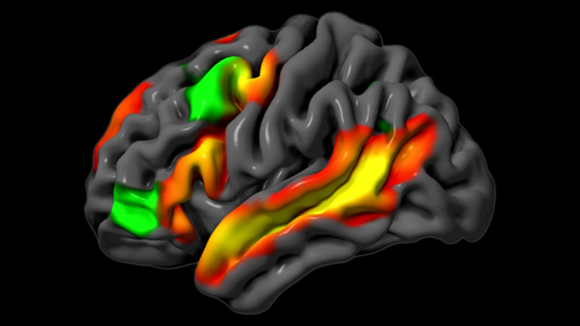 The Brain Can Reason Without Words