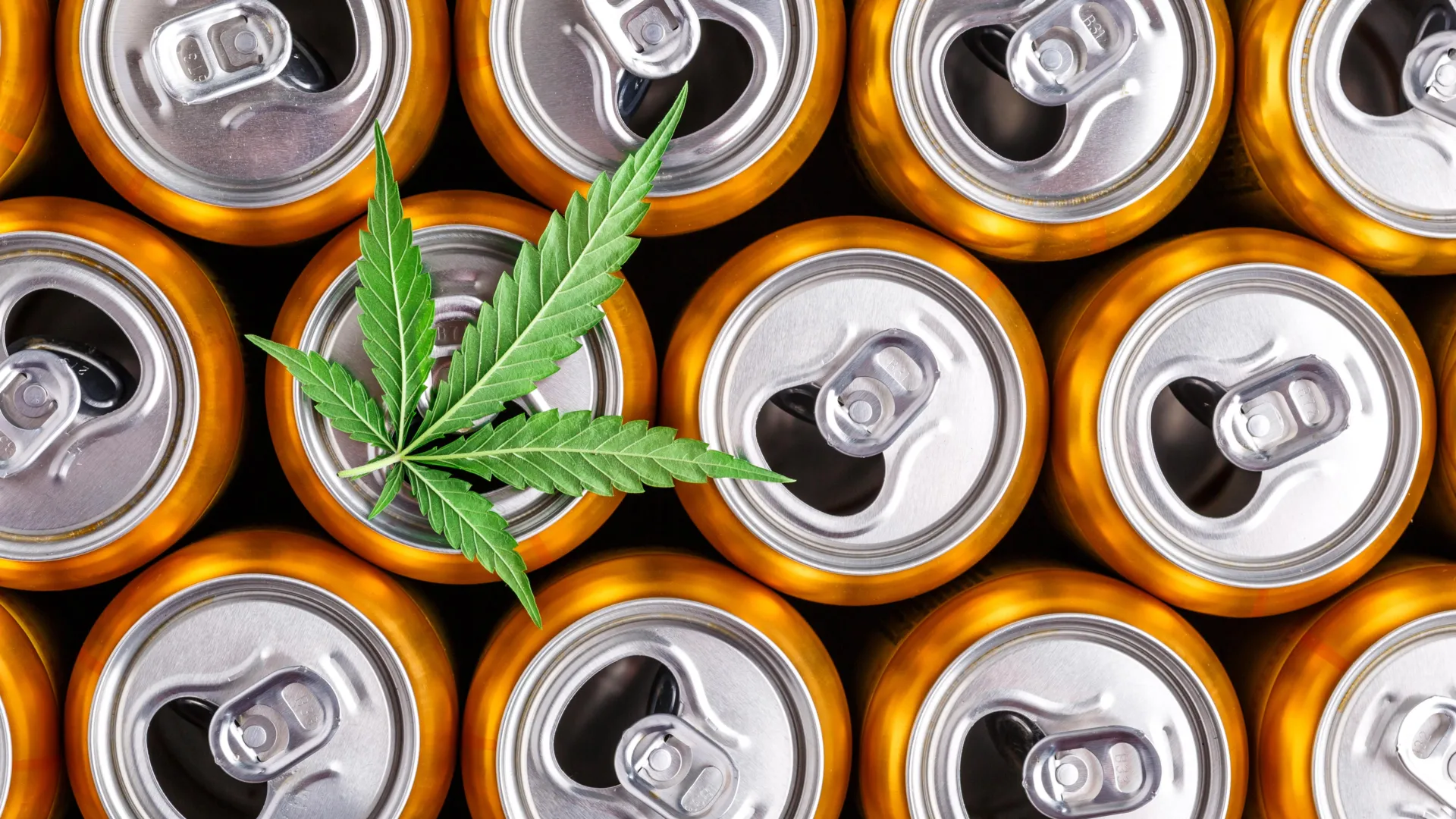 Cannabis Drinks May Help People Drink Less