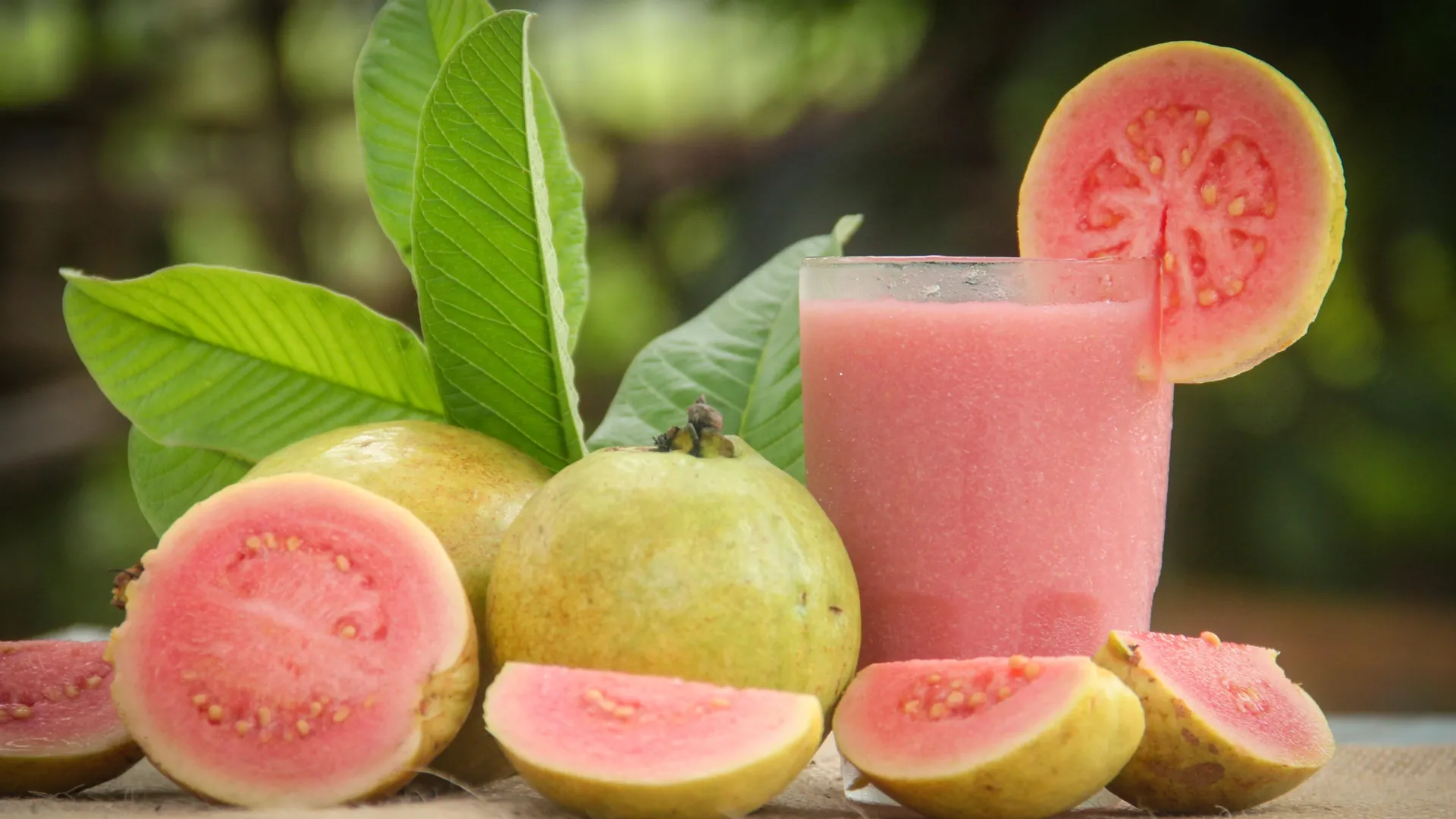 Guava Juice May Help Fight Anemia