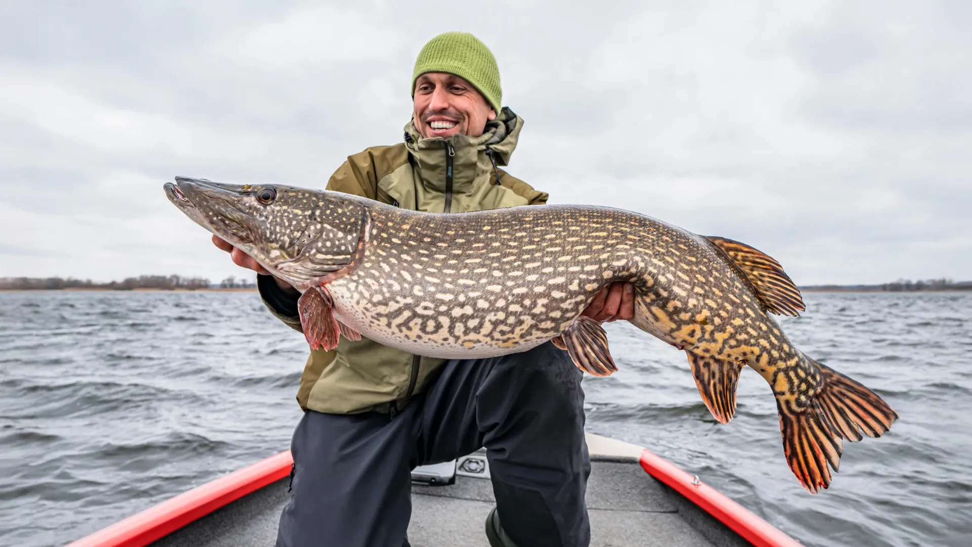 As Lakes Turn Brown, Fish Populations Shift