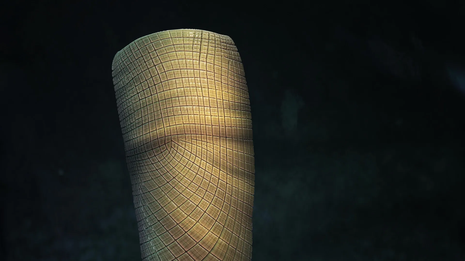 Ancient Sponge Solves 160-Million-Year Mystery