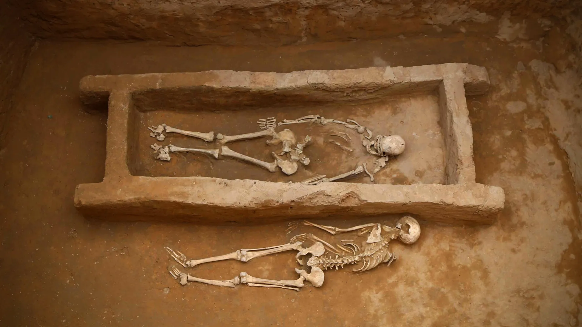 Ancient DNA reveals a chilling secret at China’s 4,000-year-old Shimao city