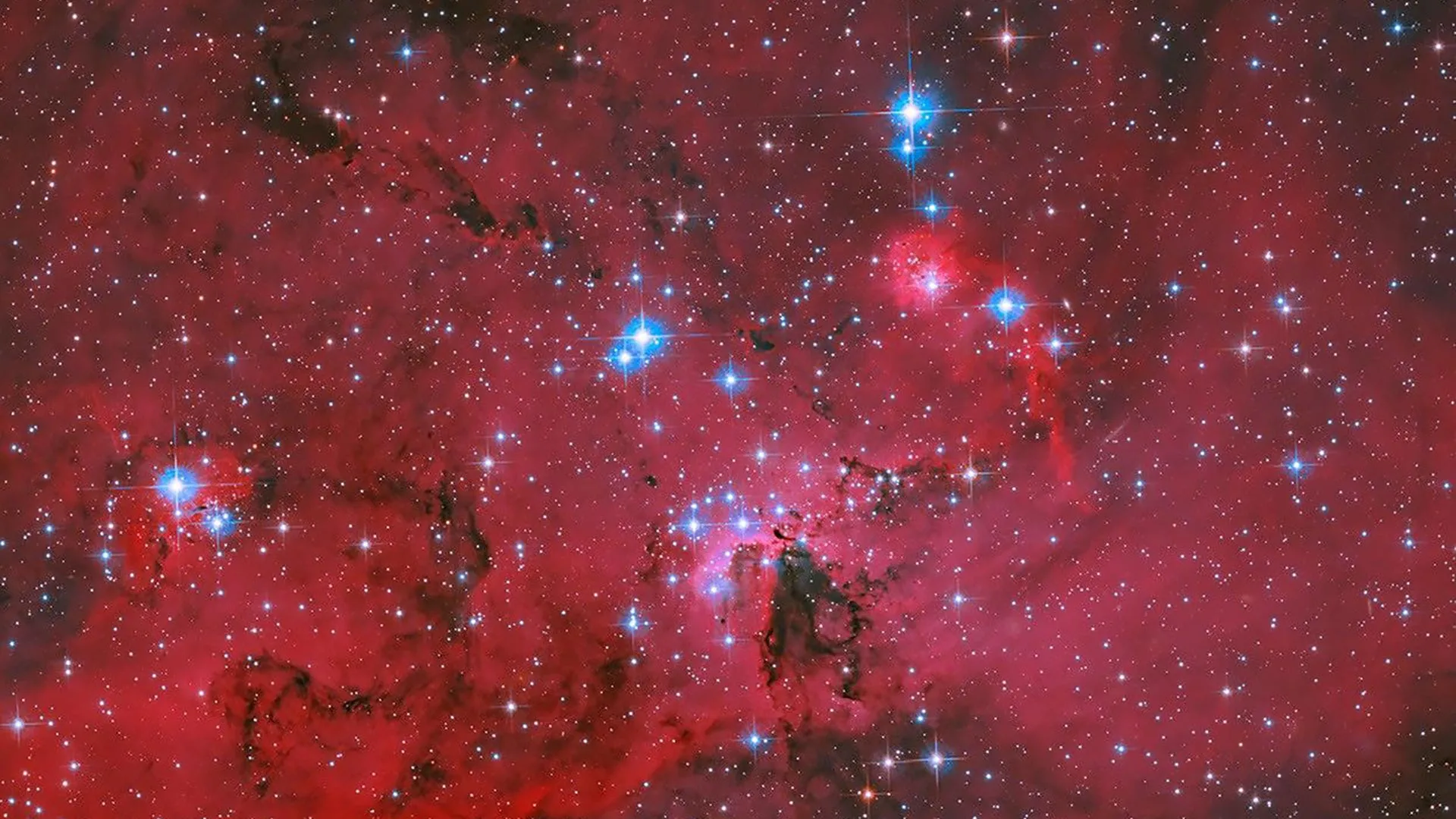 Hubble Reveals 2,500 Baby Stars