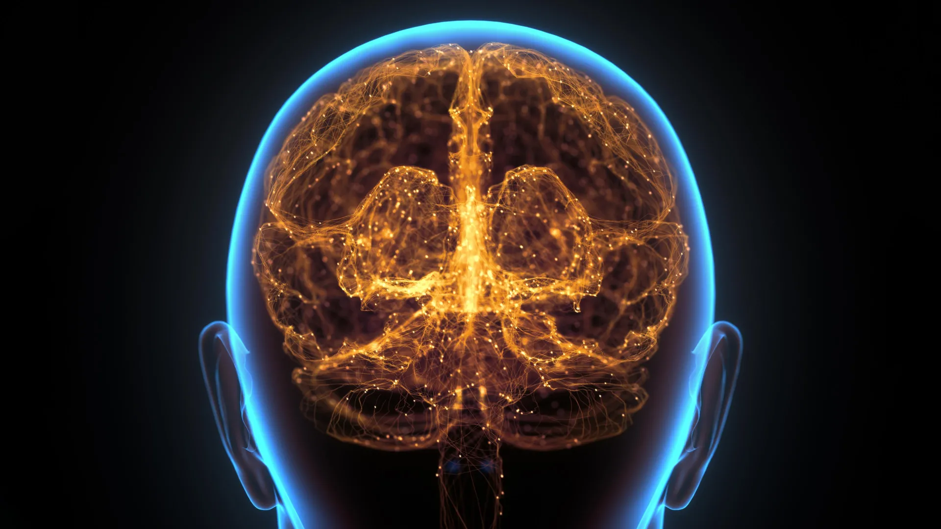 Hidden “Immune Organ” Found in the Skull