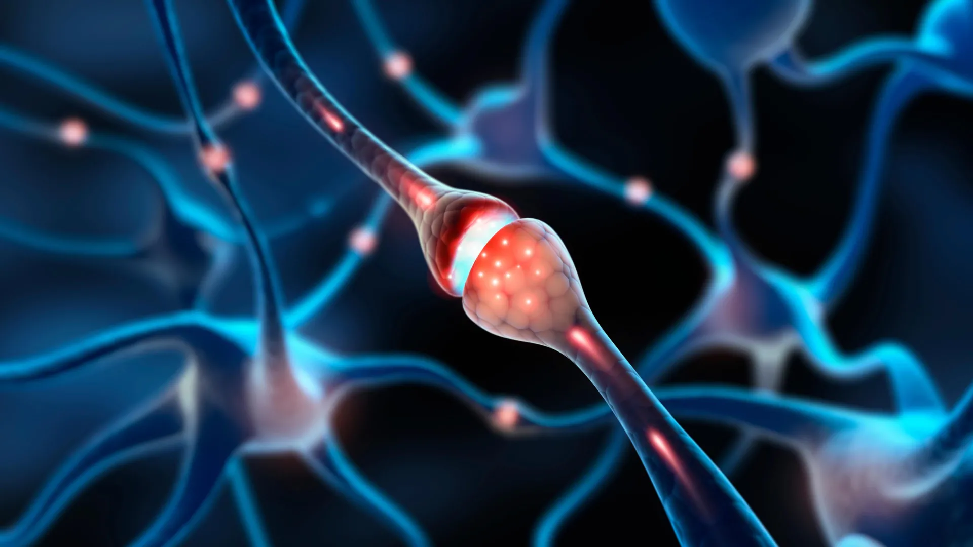 MIT scientists discover millions of “silent synapses” in the adult brain