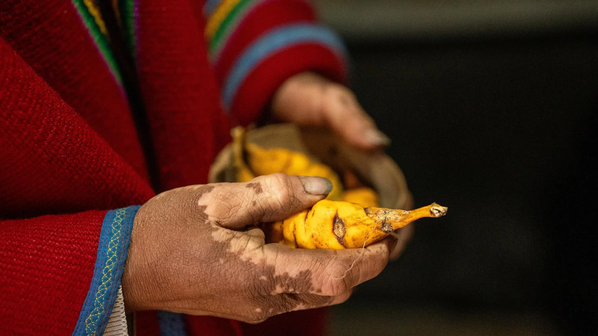 The Andes’ Digestive Superpower