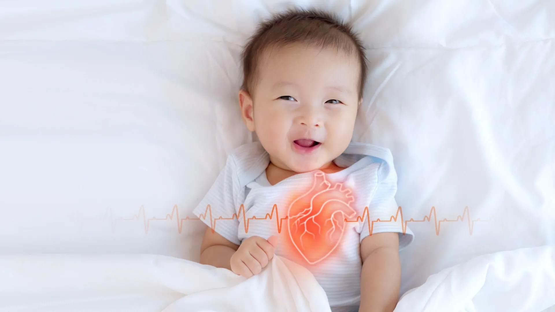 Tiny cell “antennas” may help explain why some babies are born with heart defects