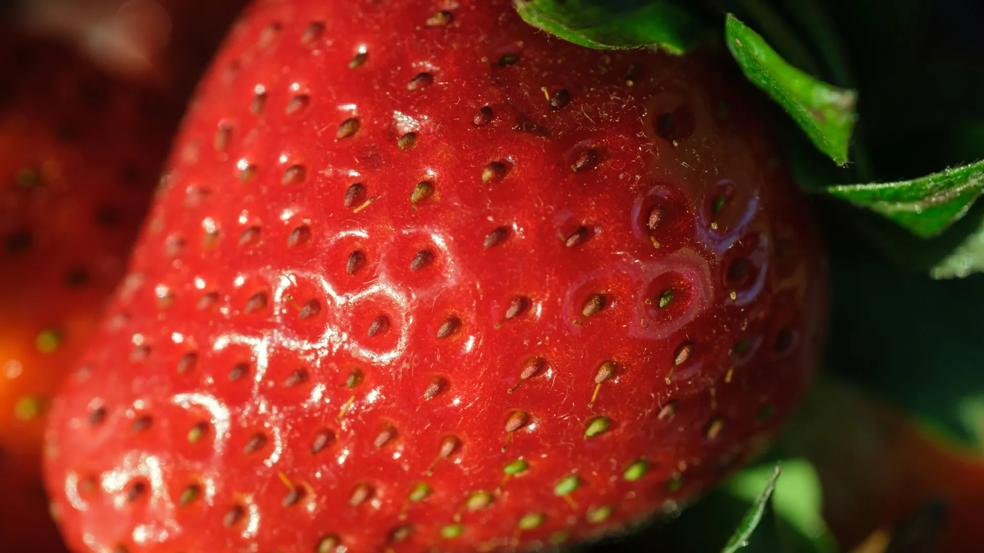 Scientists boost strawberry flavor and nutrition without changing growth