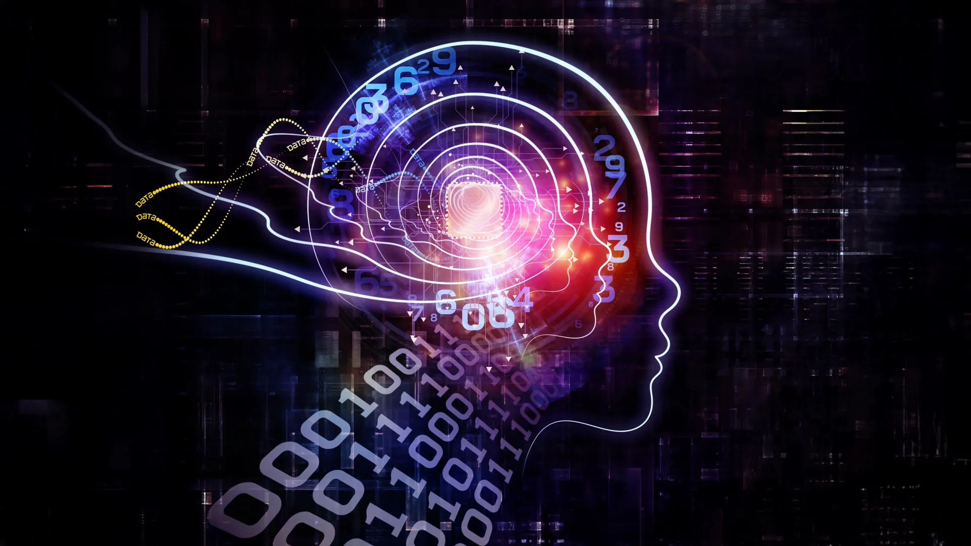 MSU Researcher Uses Math Models to Study Alzheimer's Protein Plaque Buildup
