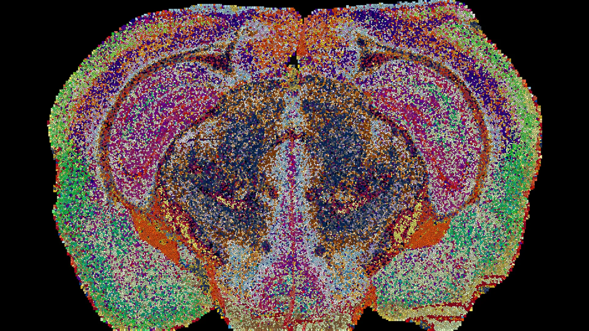 Scientists Uncover a Hidden Map of the Brain
