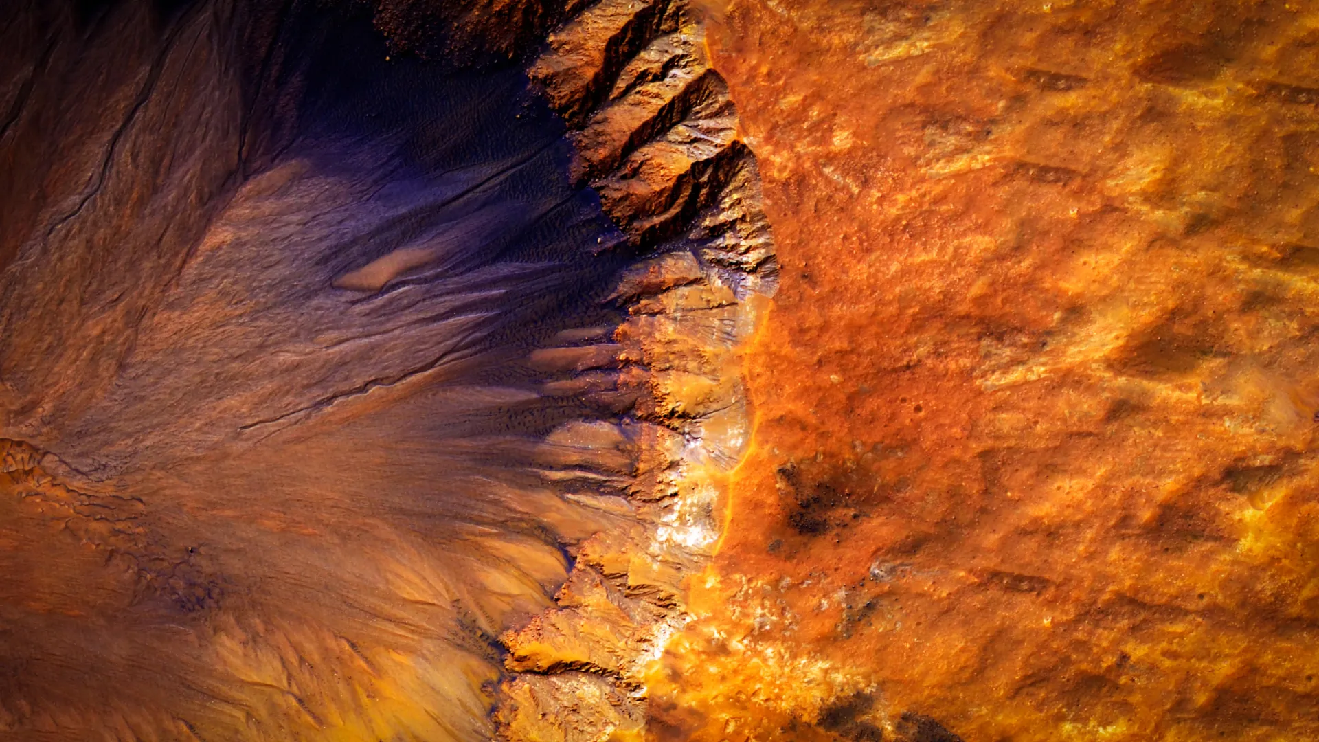 Life on Mars? Tiny cells just survived shock waves and toxic soil