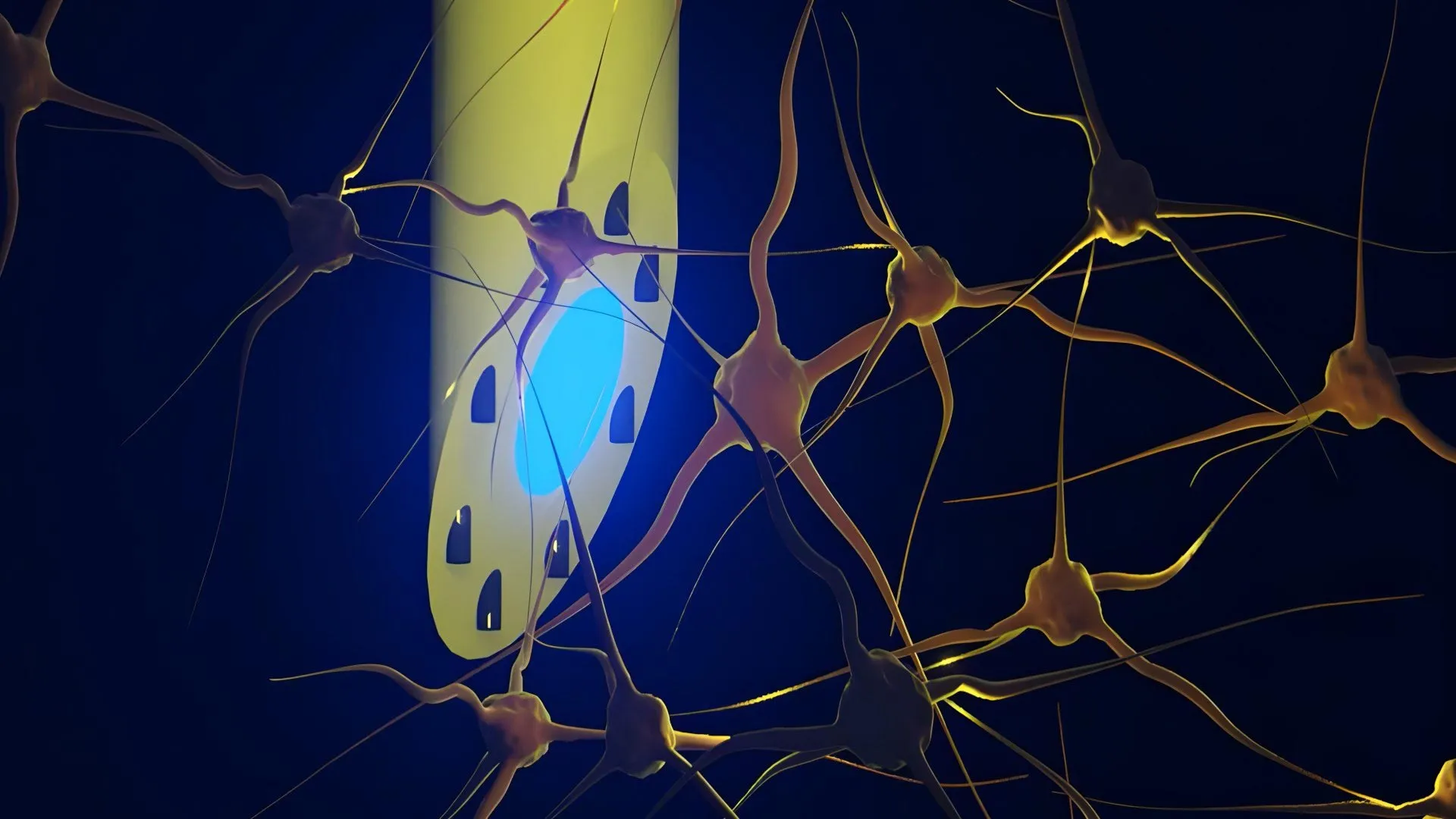 Scientists create a needle-thin brain implant that can do three jobs at once