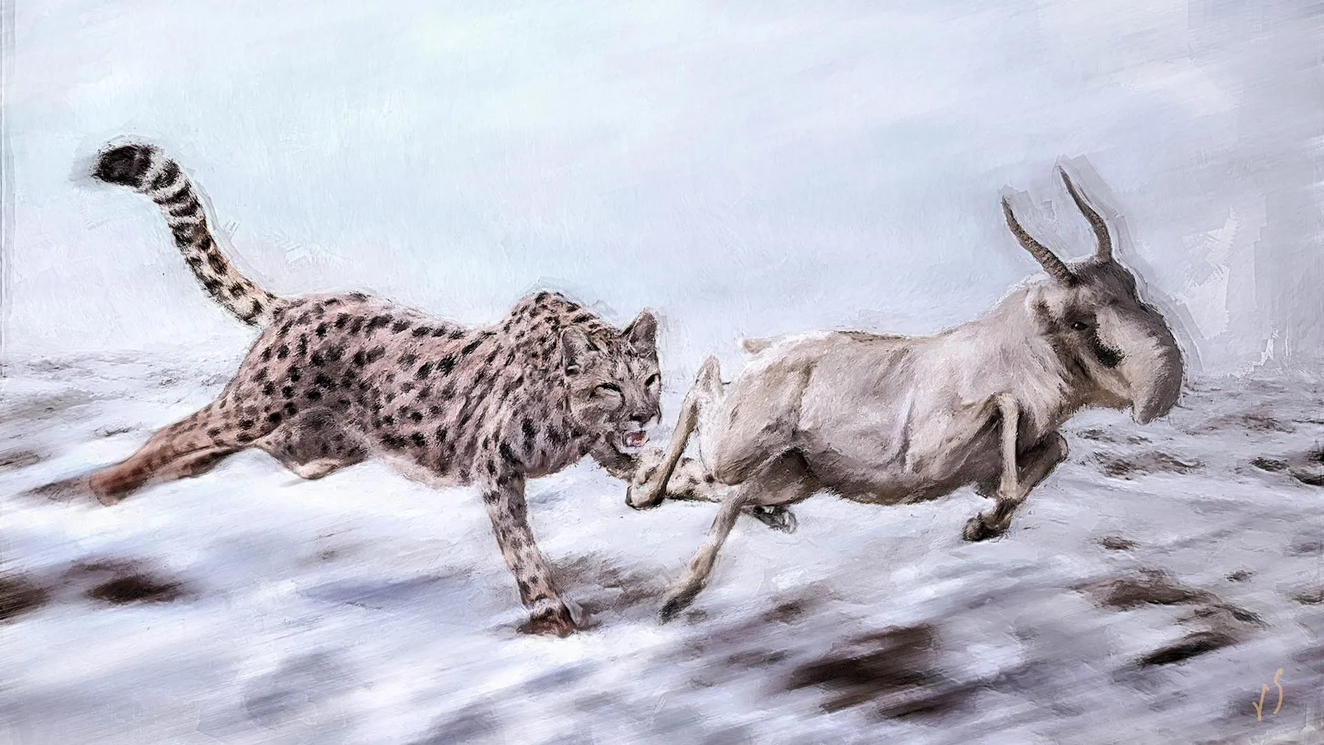 American “Cheetah” Wasn’t a Cheetah
