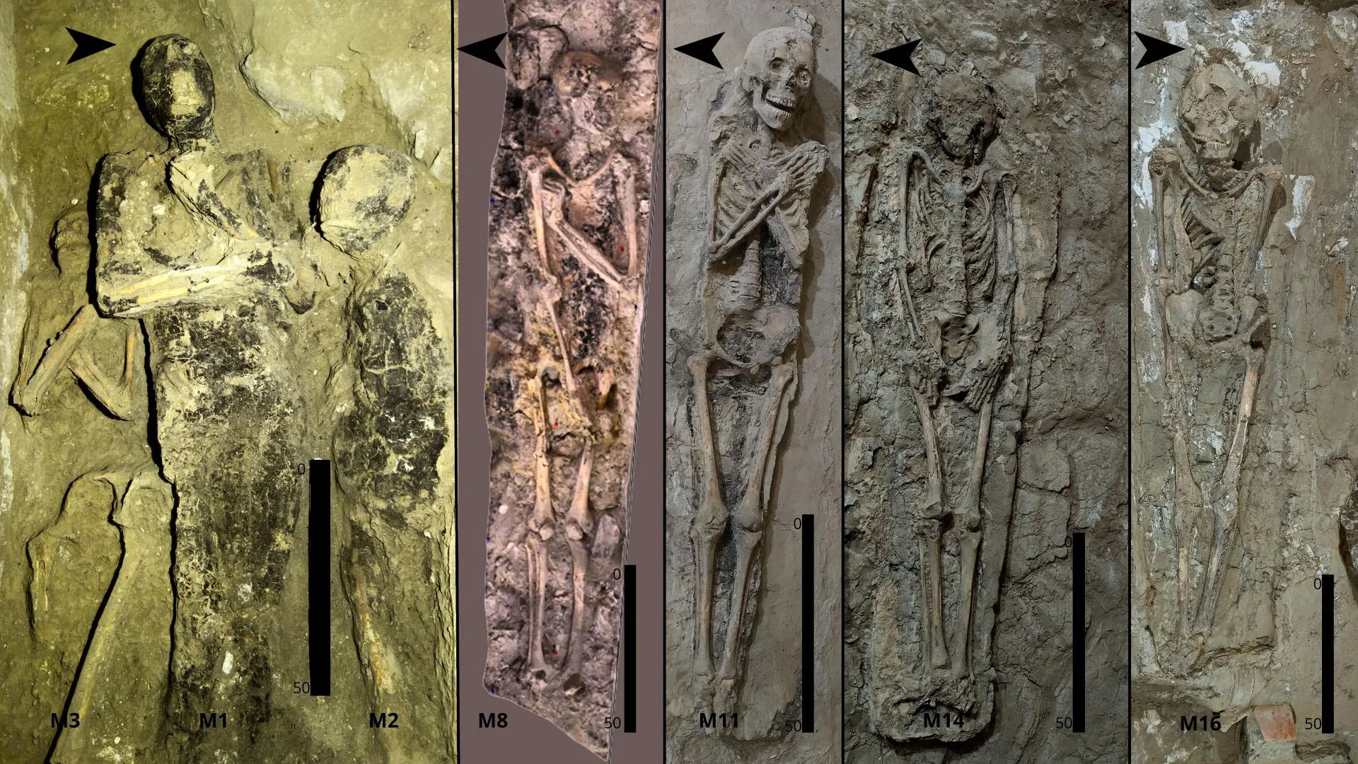 16 mummies and a dog reveal a hidden order inside an ancient Egyptian tomb