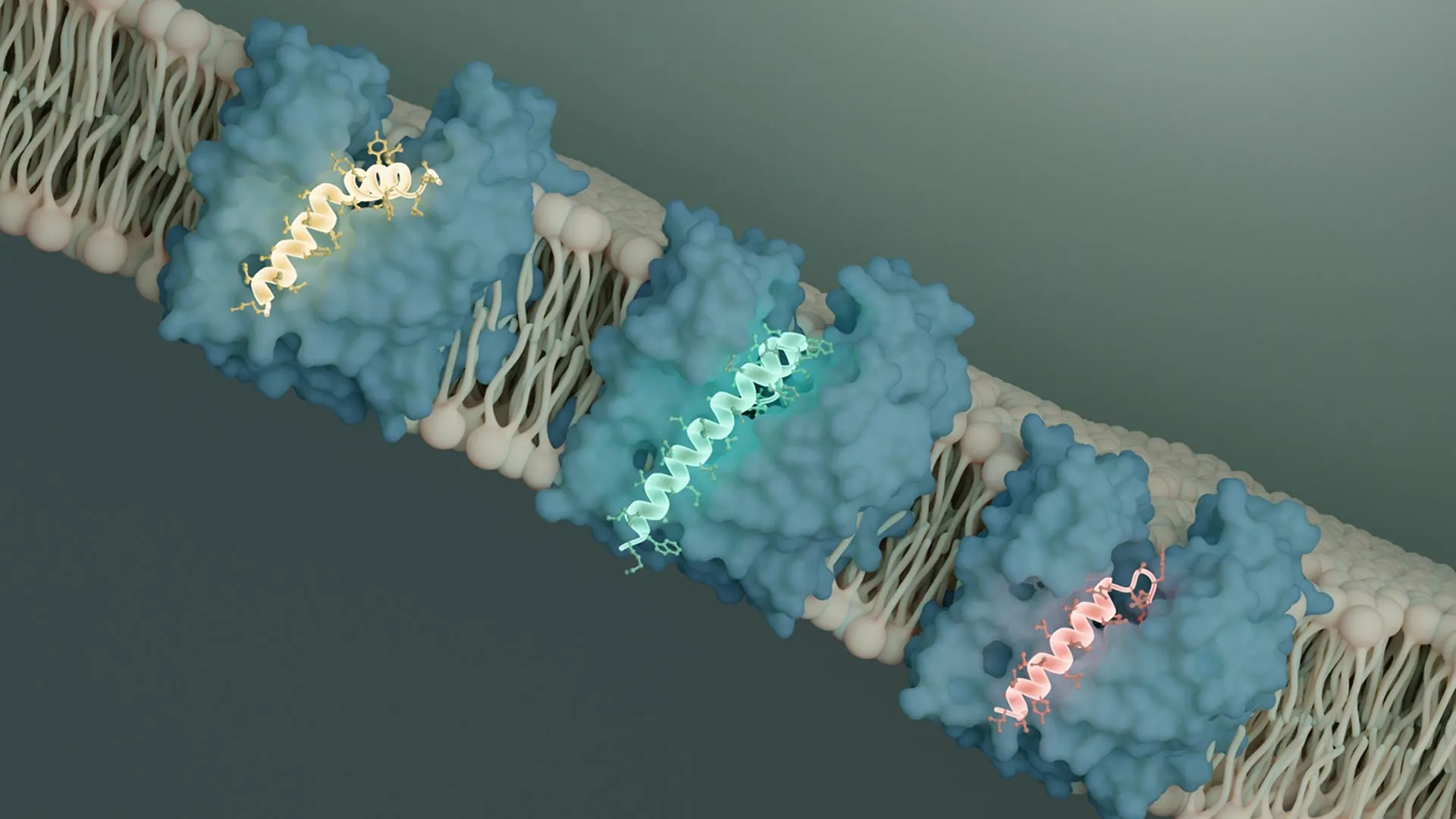 Scientists Discover a Bacterial Kill Switch and It Could Change the Fight Against Superbugs