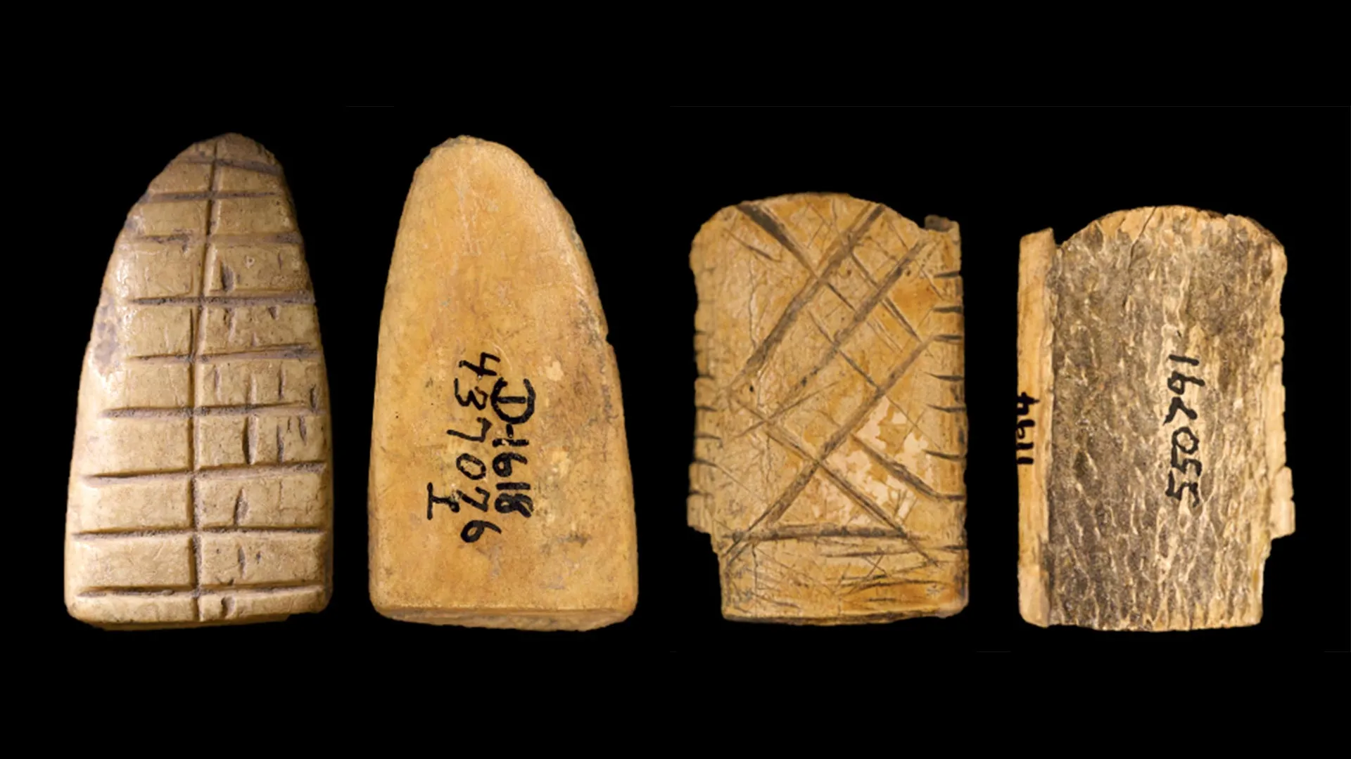 Ancient bone dice reveal 12,000-year history of gambling in America