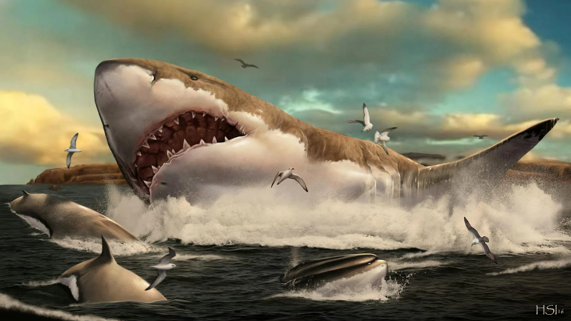 Scientists Rediscover Lost Megalodon Fossils—and Reveal a 79-foot Giant