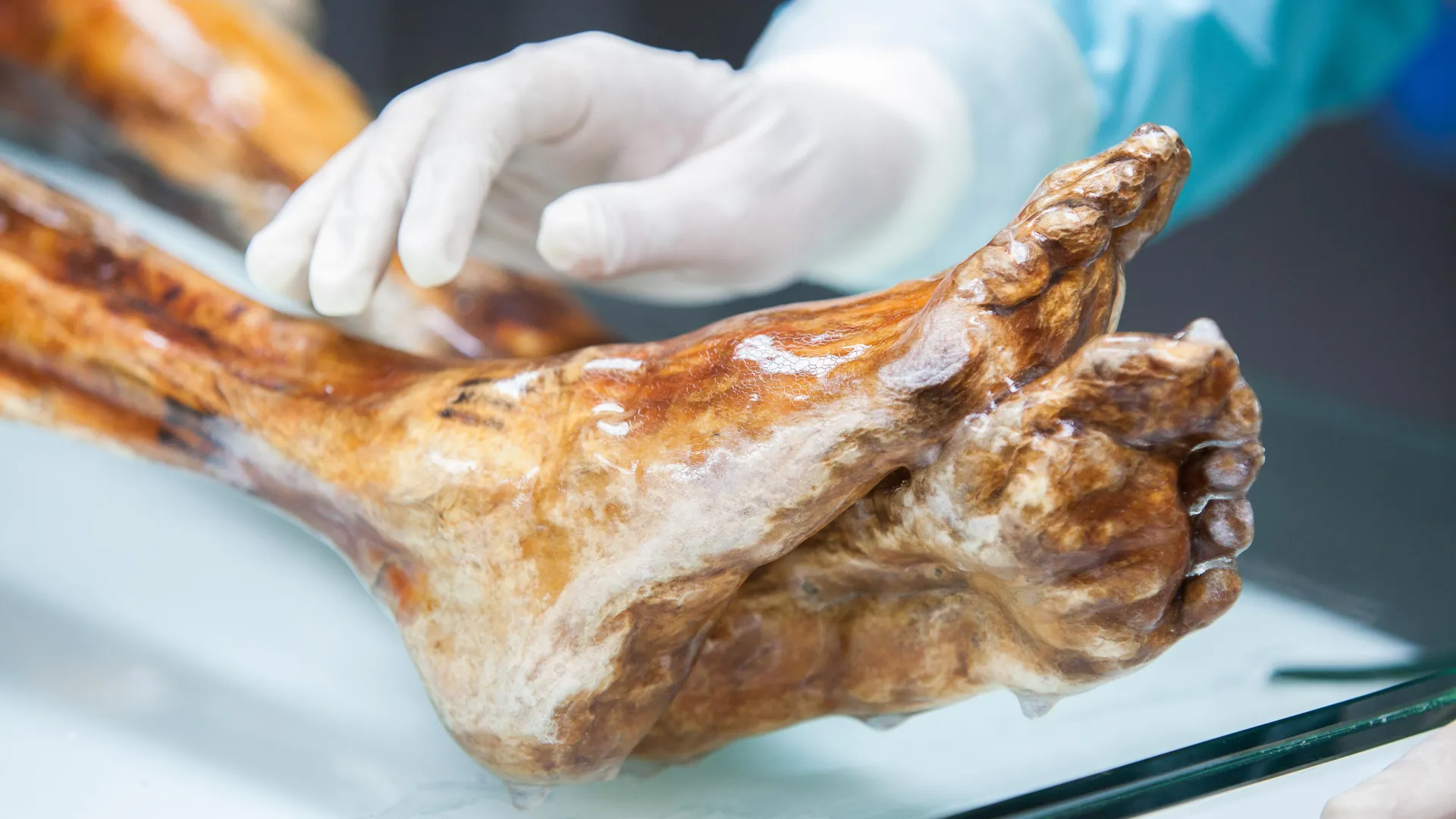 Scientists find unexpected life on Ötzi the Iceman’s 5,300-year-old body
