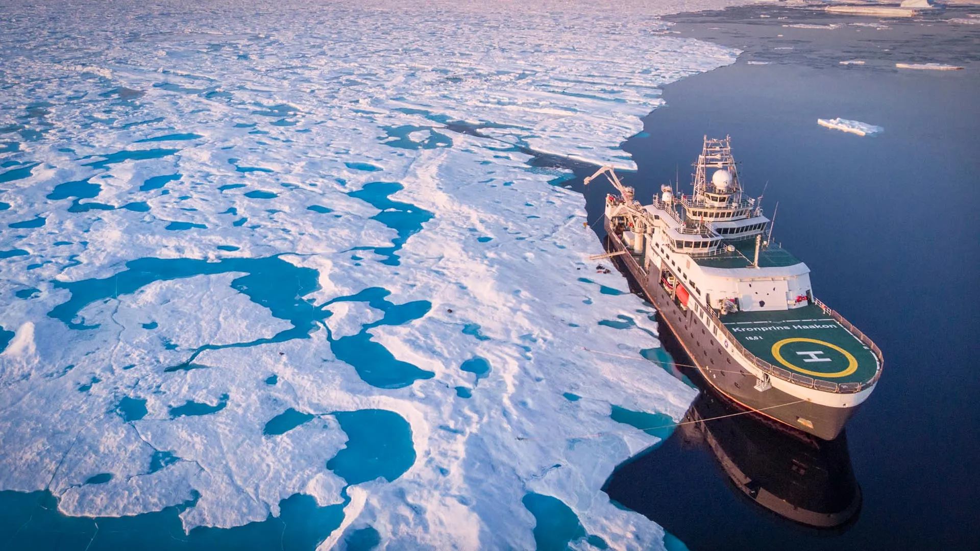 Arctic Food Chain Faces Irreversible Shift