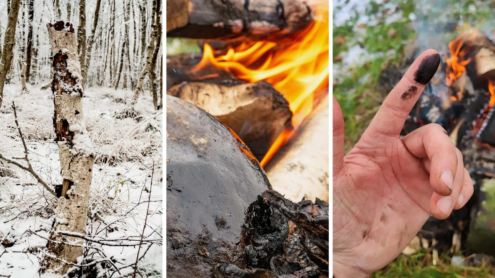 Neanderthal Birch Tar Used as Ancient Medicine, Study Suggests