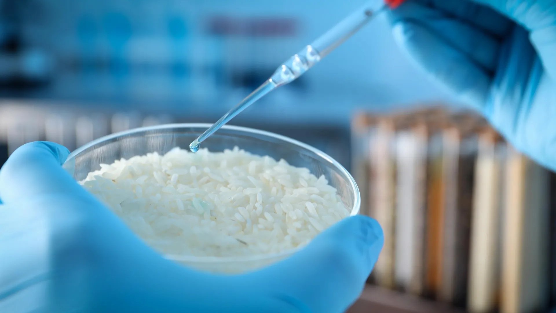 Rice Inspires a New Smart Material