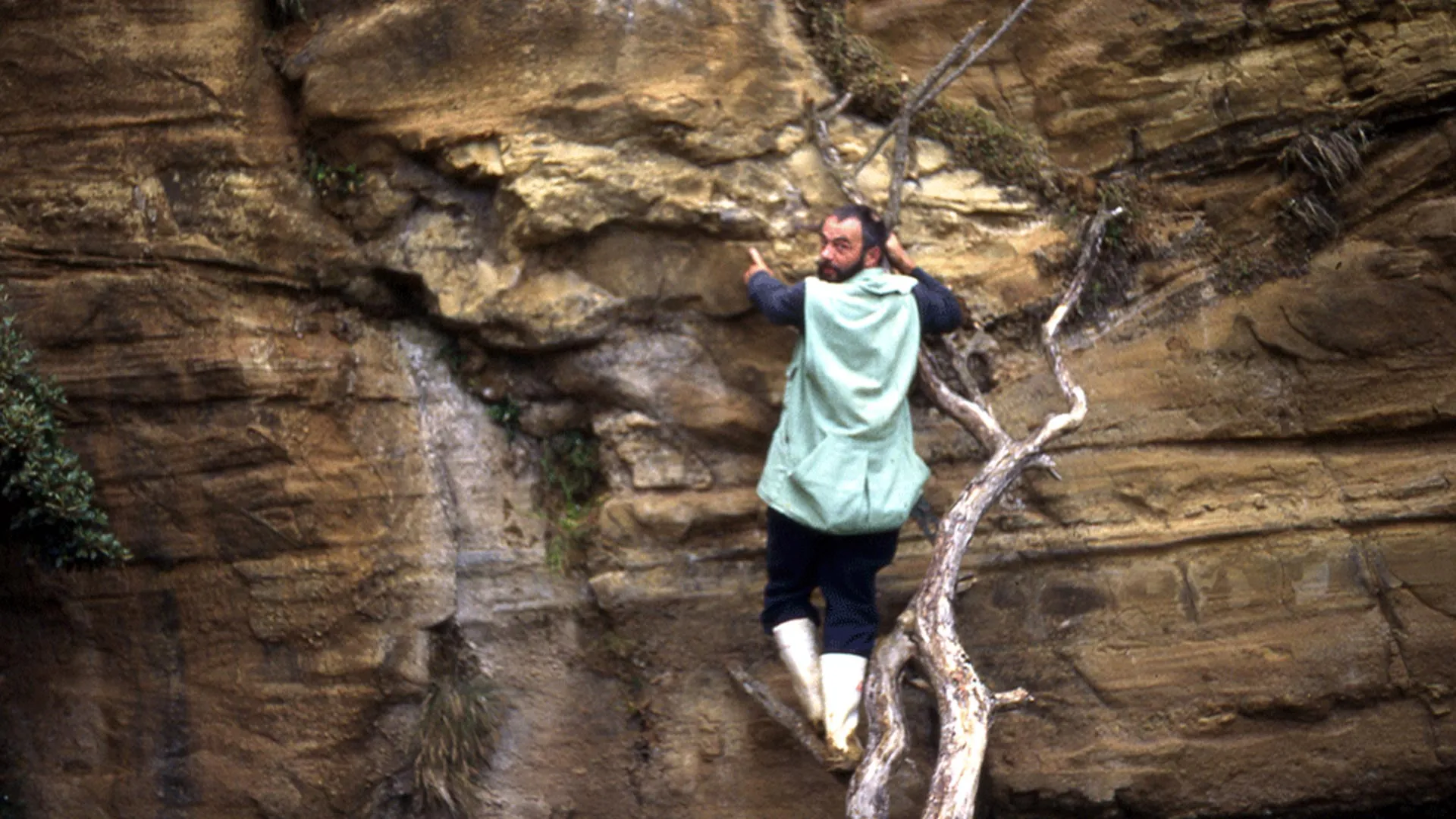 Lost Notebooks Solve Fossil Mystery