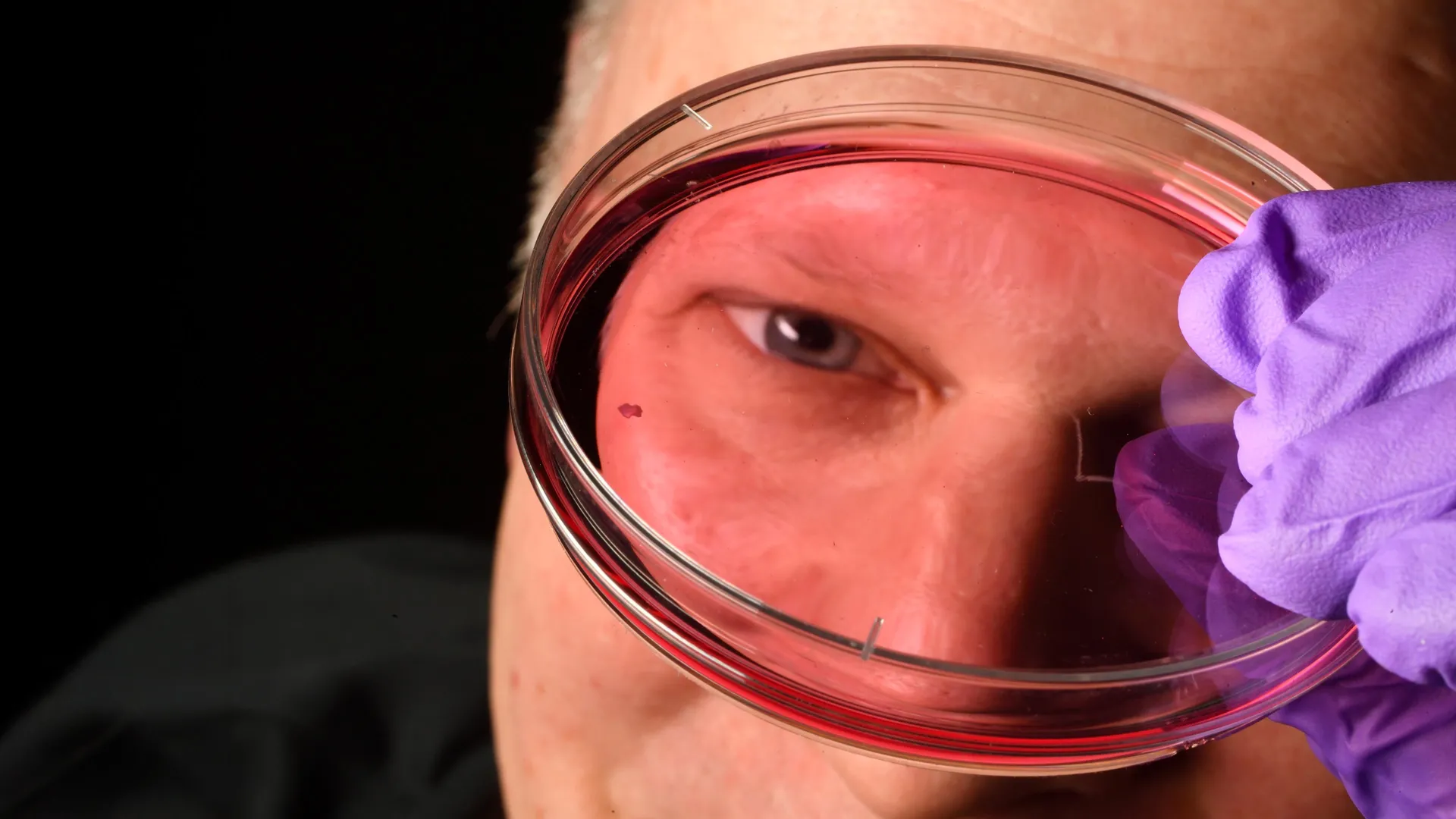 The Secret Behind Human Sharp Vision