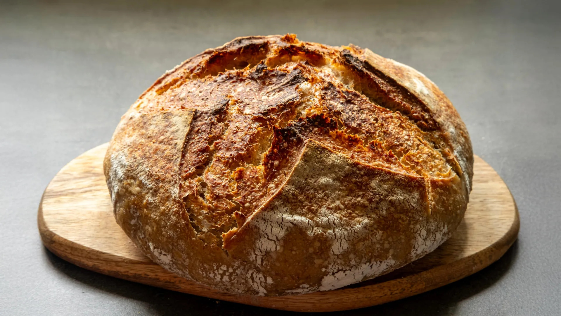 The Hidden Microbes in Your Sourdough