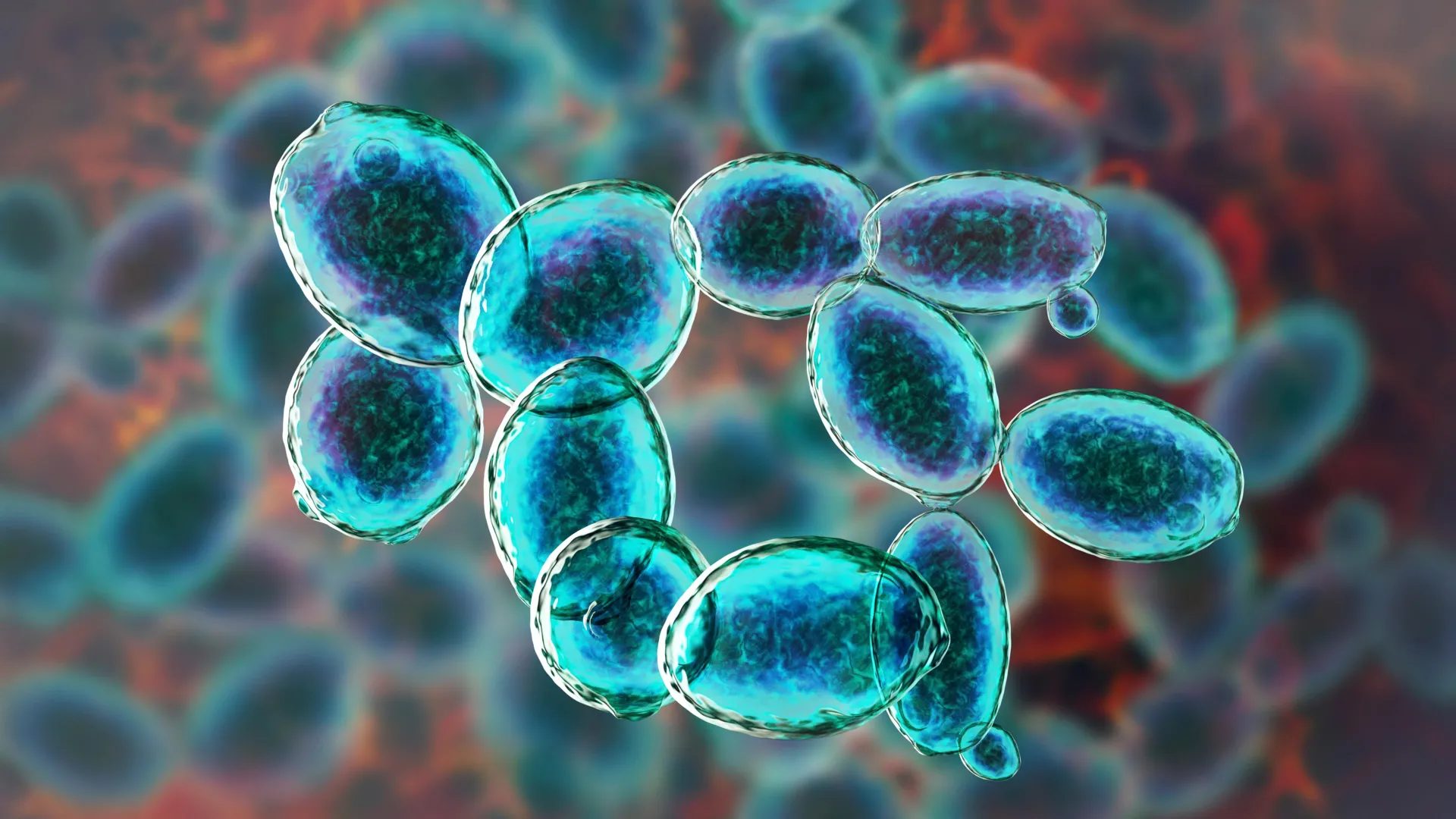 This tiny organism refused to die under Mars-like conditions