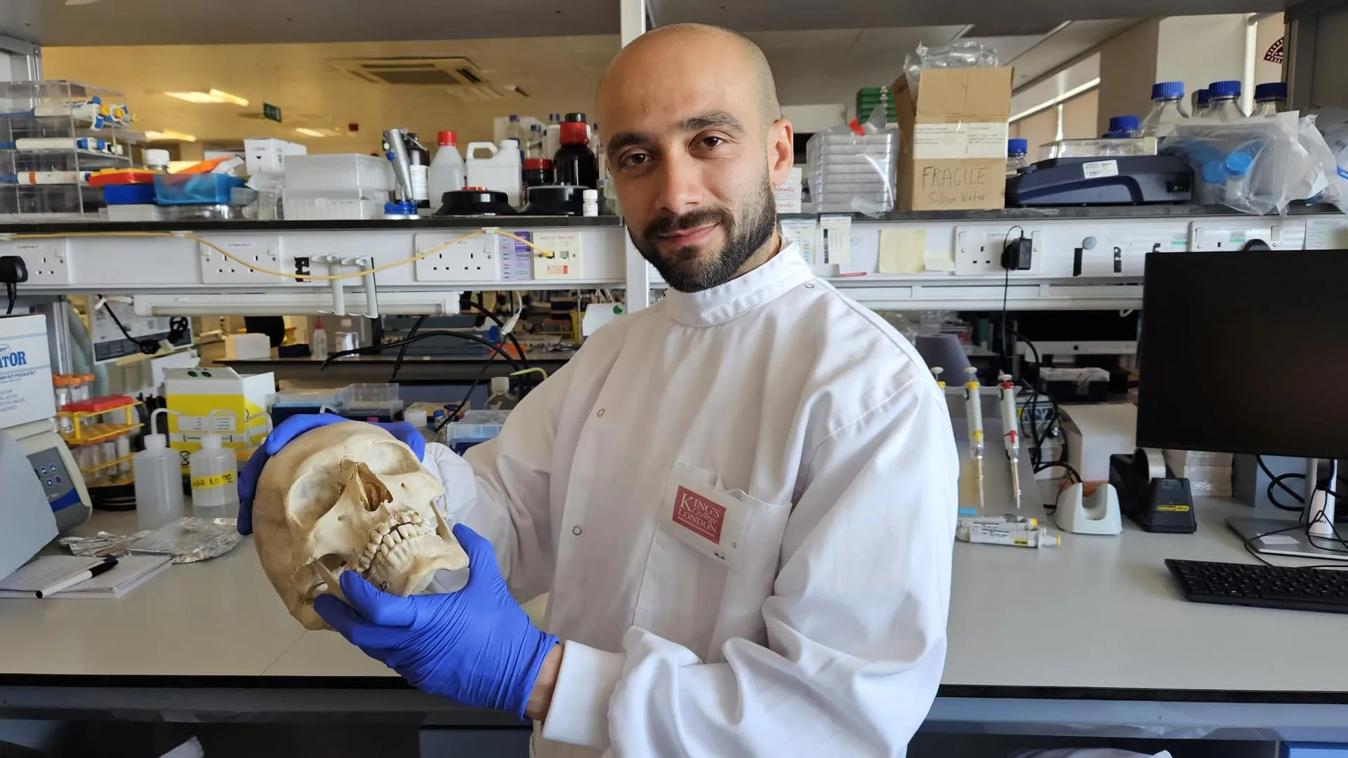 Wool Could Help Regrow Damaged Bone
